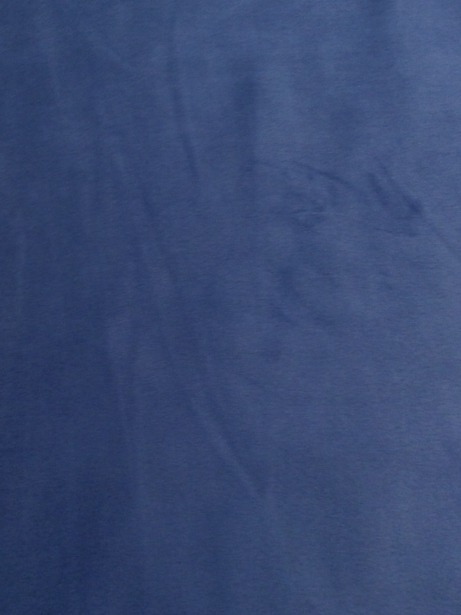 Stretch Suede with Scuba Backing in Royal