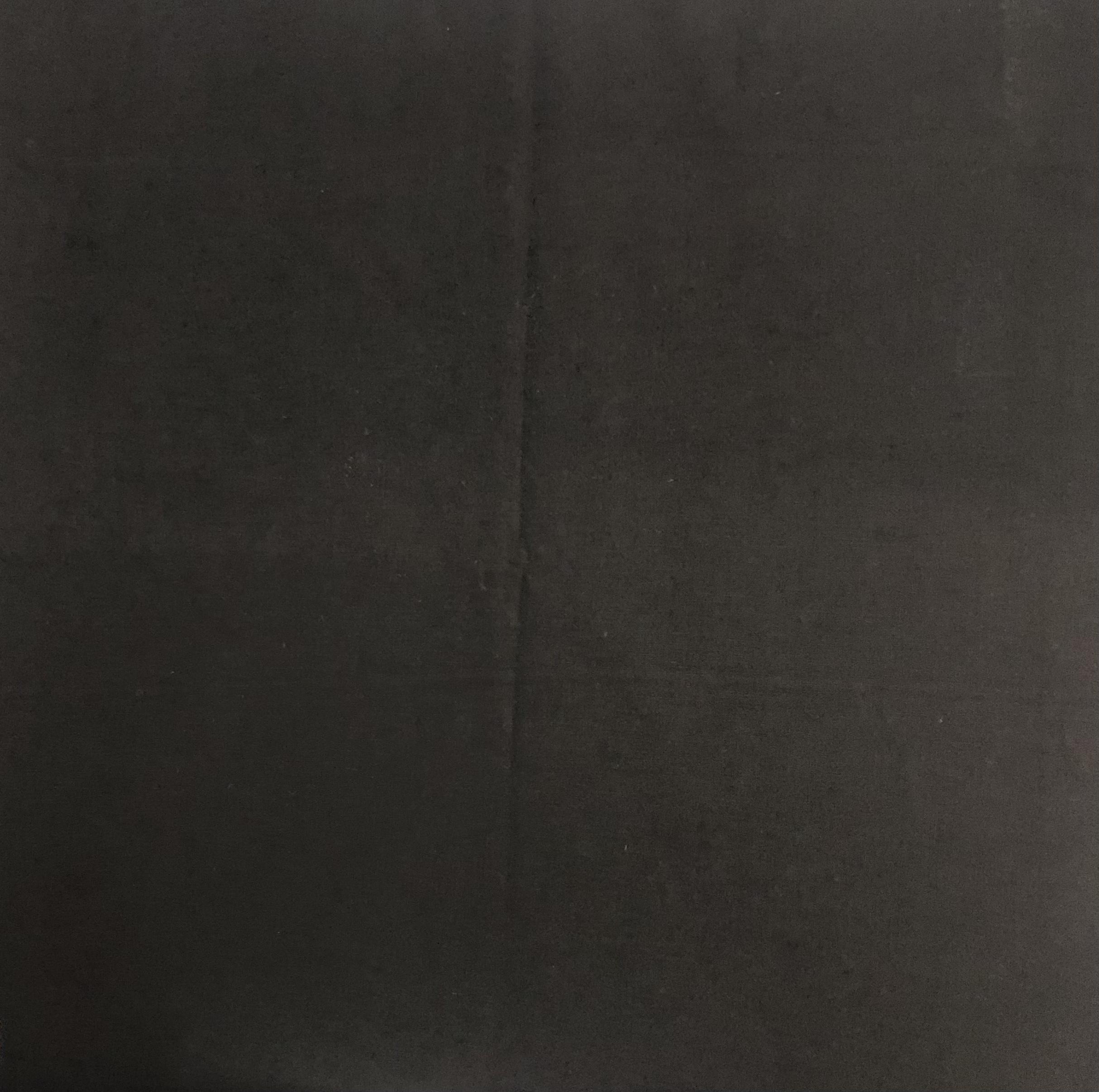 Stretch Cotton Broadcloth in Black