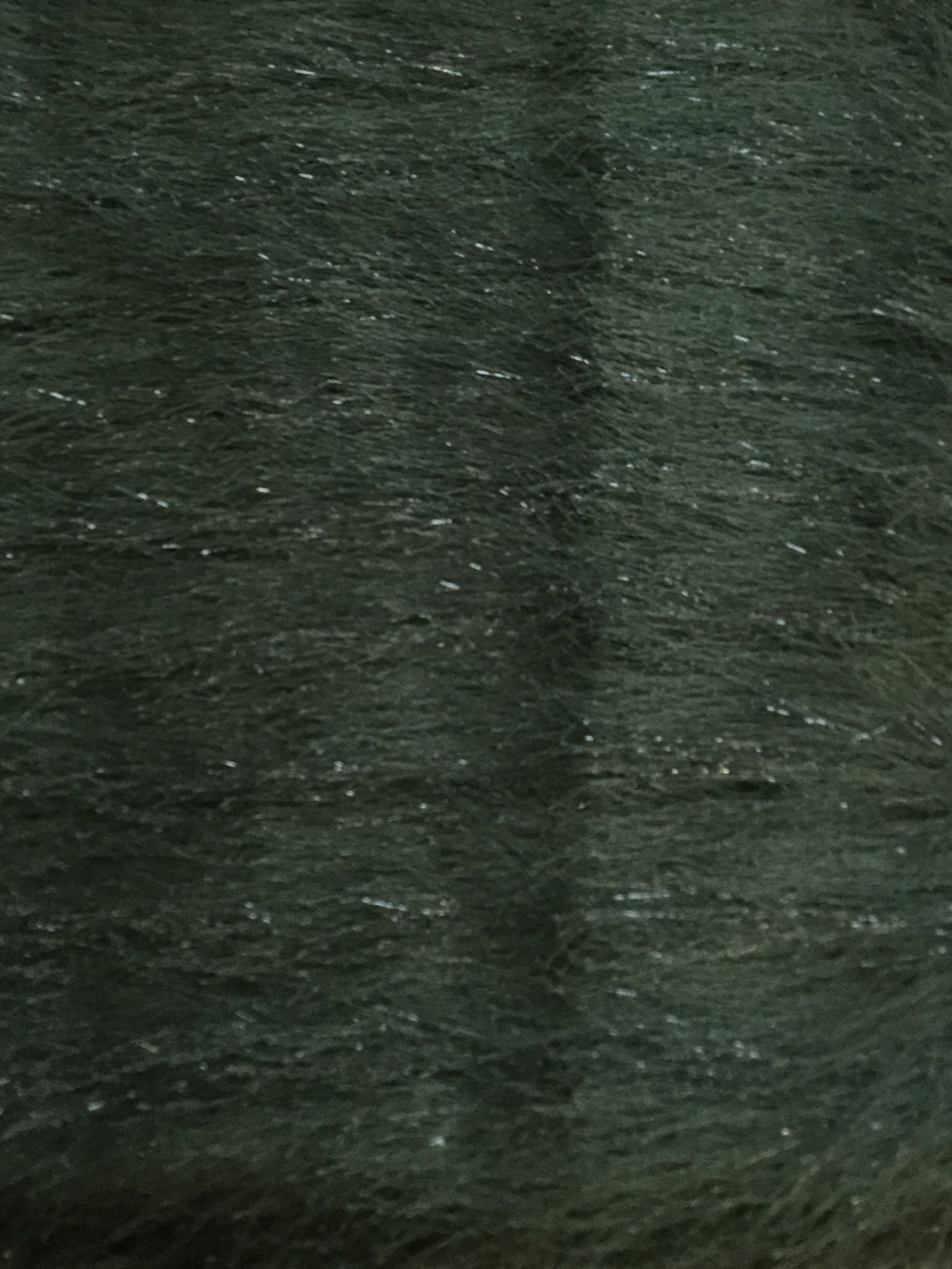 Polyester Lurex Eyelash in Hunter