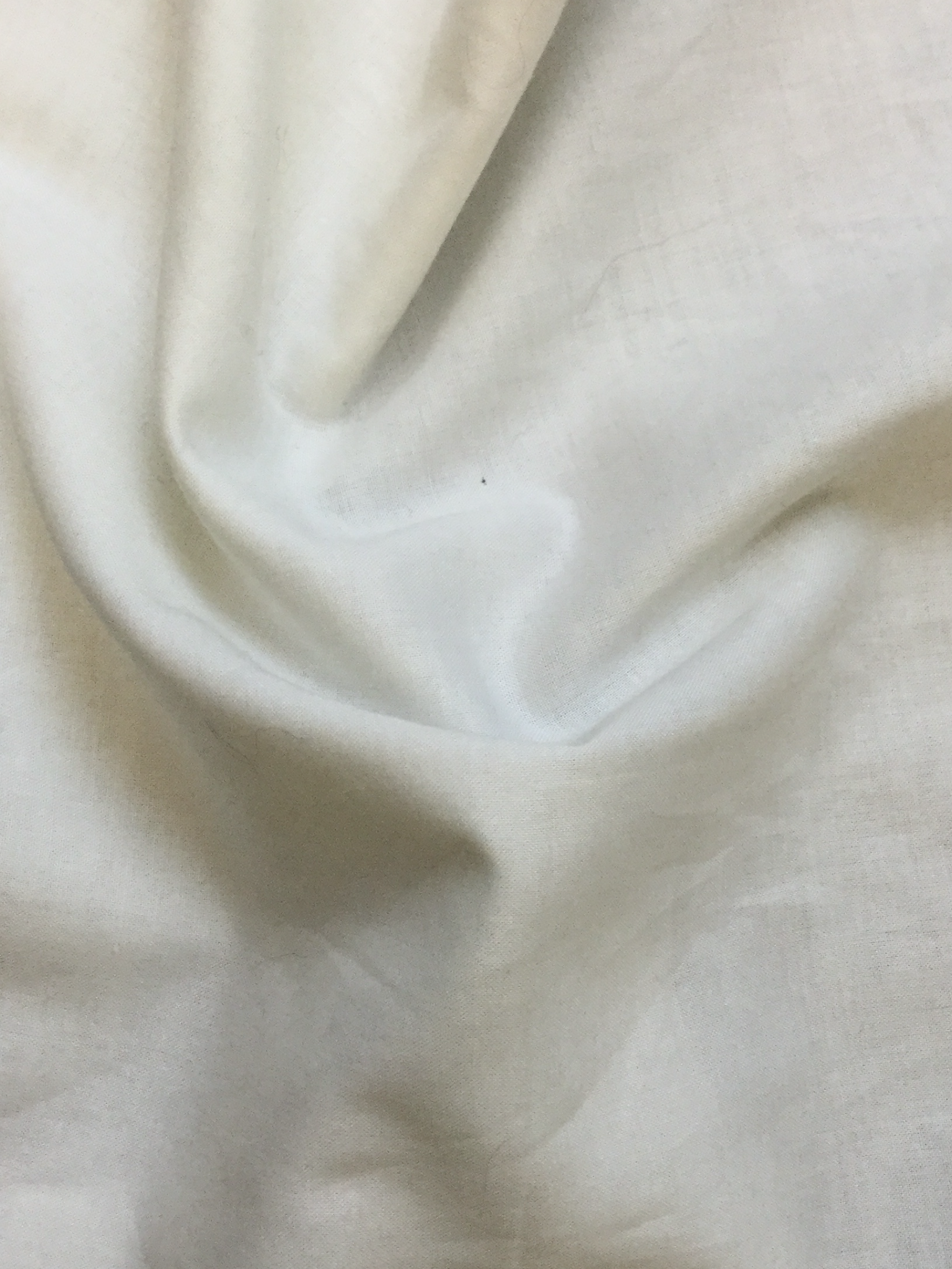 Pima Cotton Pima Batiste in Cream