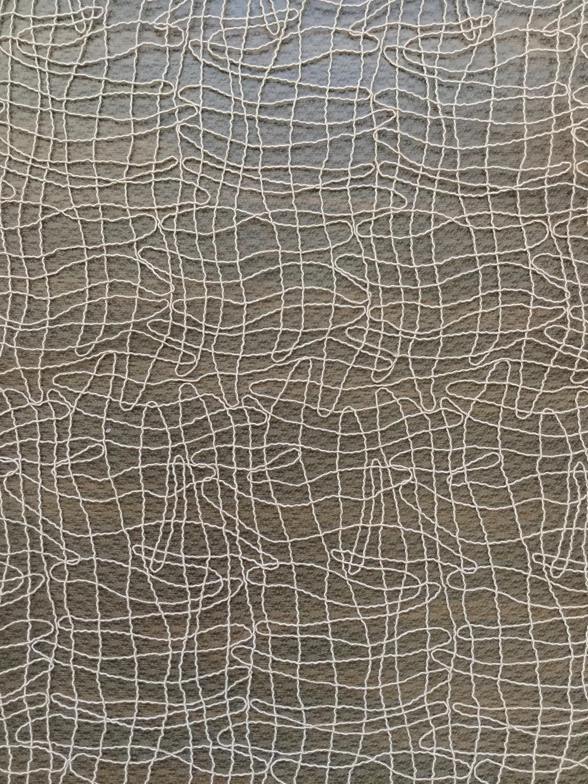 Embroidered Souffle Net in Flesh