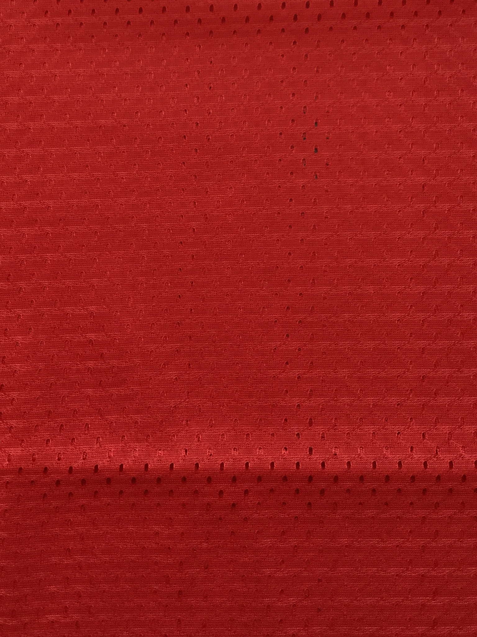 Polyester Athletic Mesh in Red