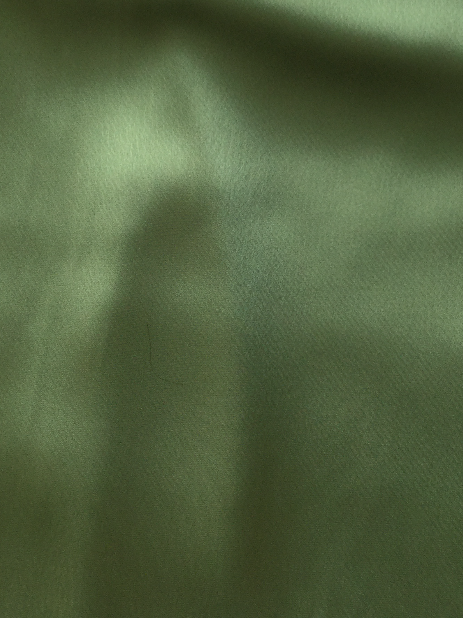 Triacetate Blend Charmeuse in Sage