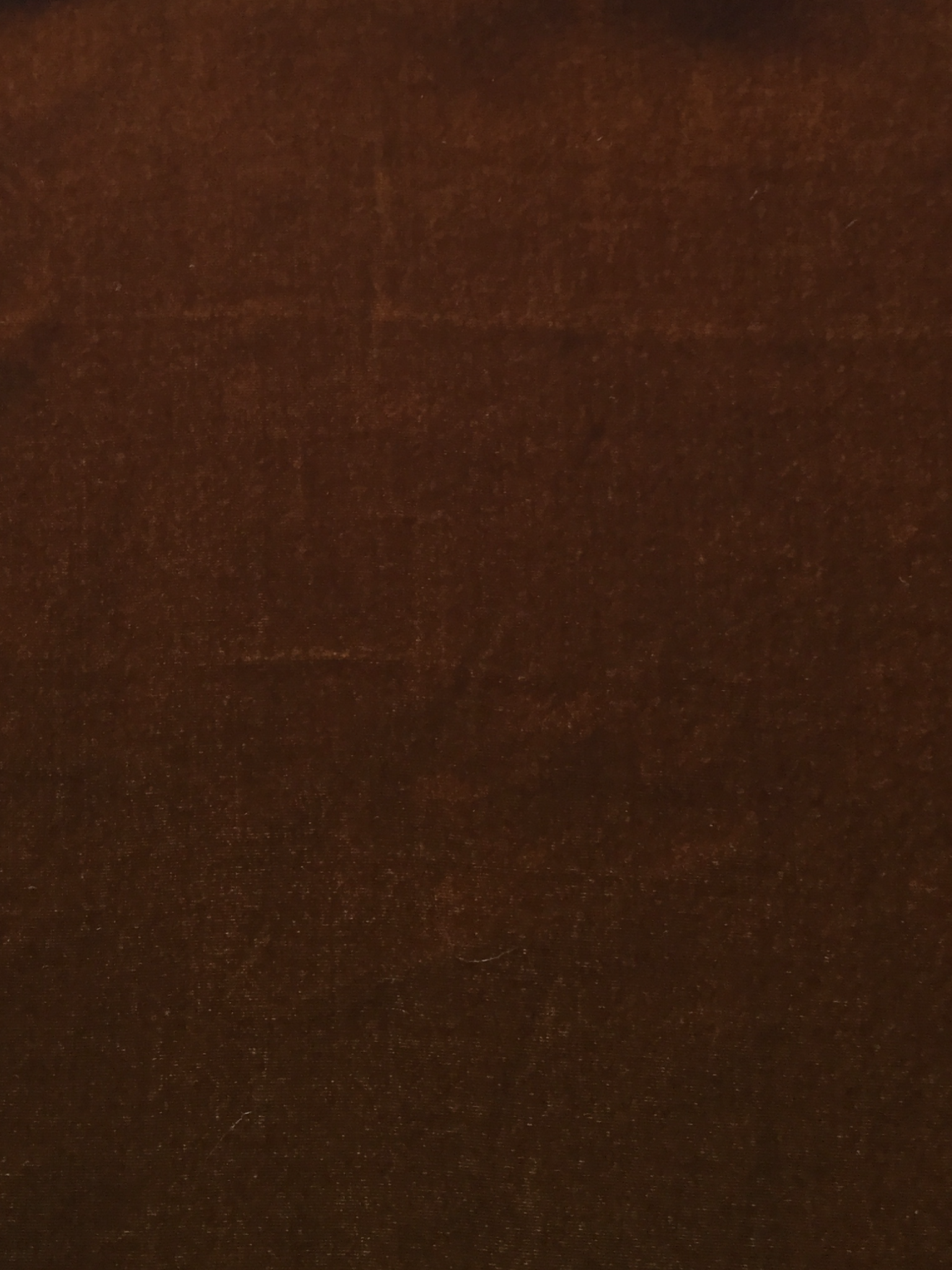 Silk Rayon Velvet in Deep Amber