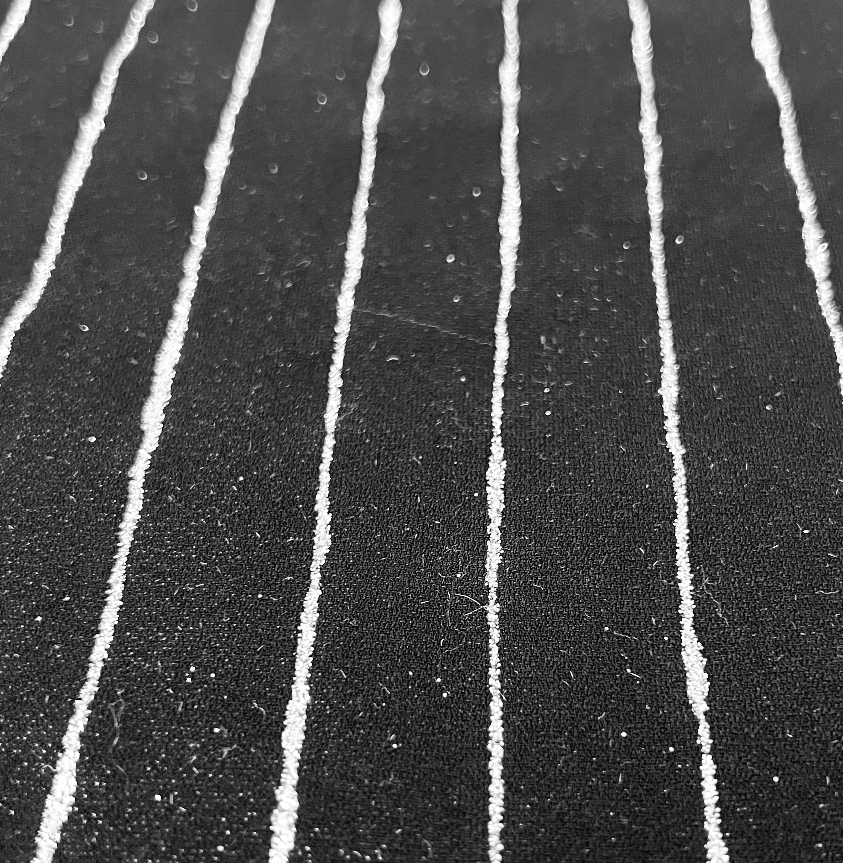 Polyester Crepe With Silver Glitter Stripes