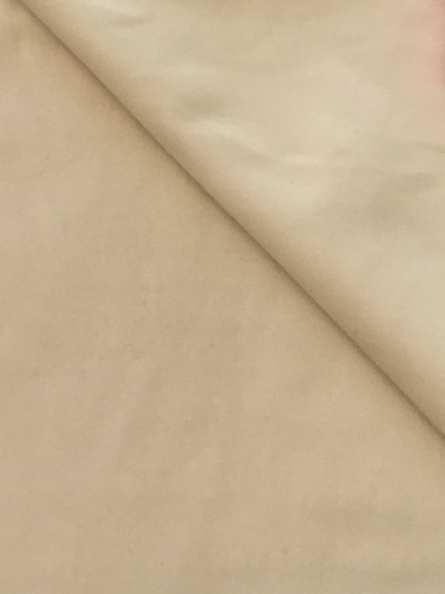 Pure Cotton Velvet in Oyster