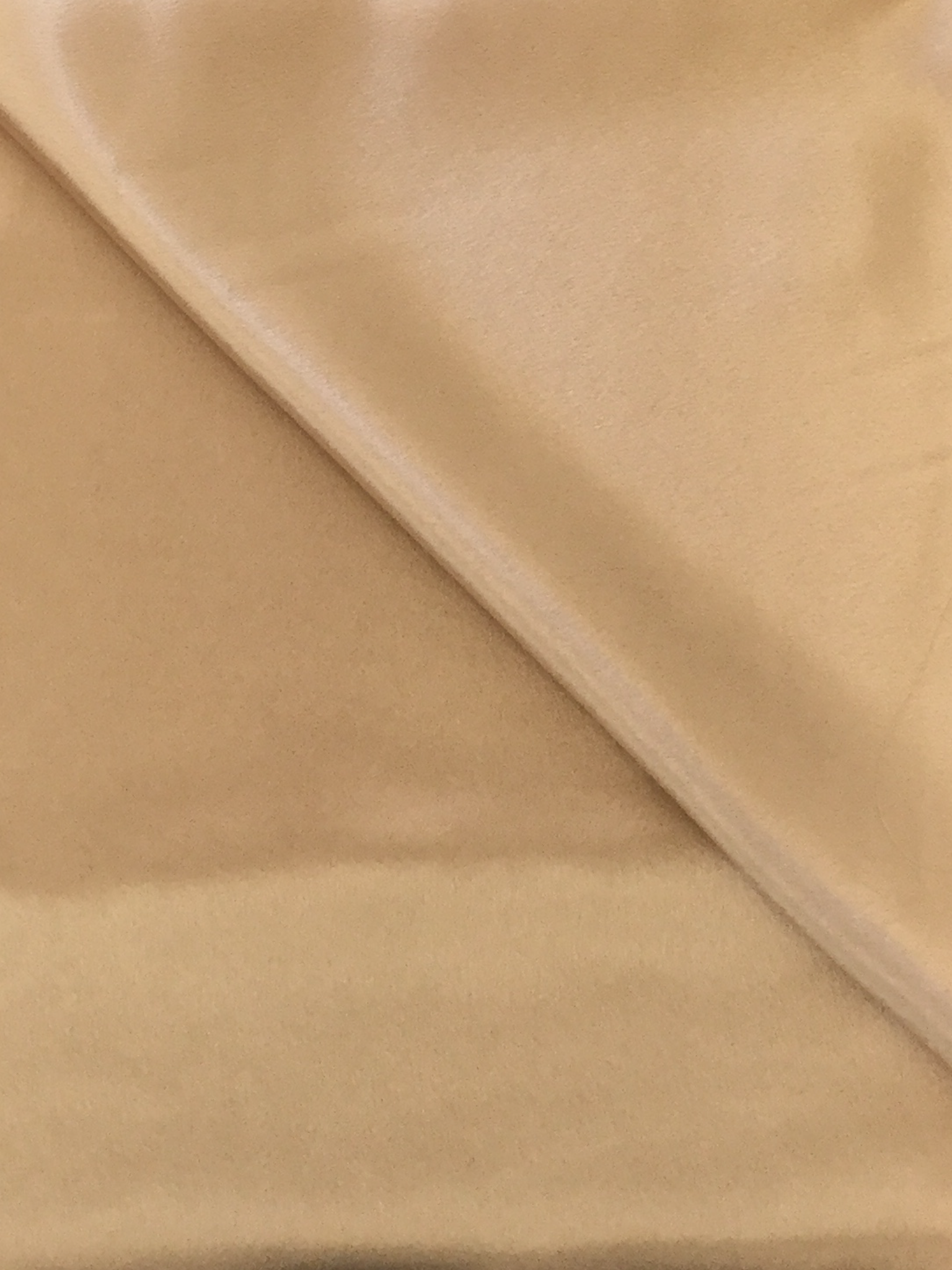 Polyester Crepe Back Satin in Nude