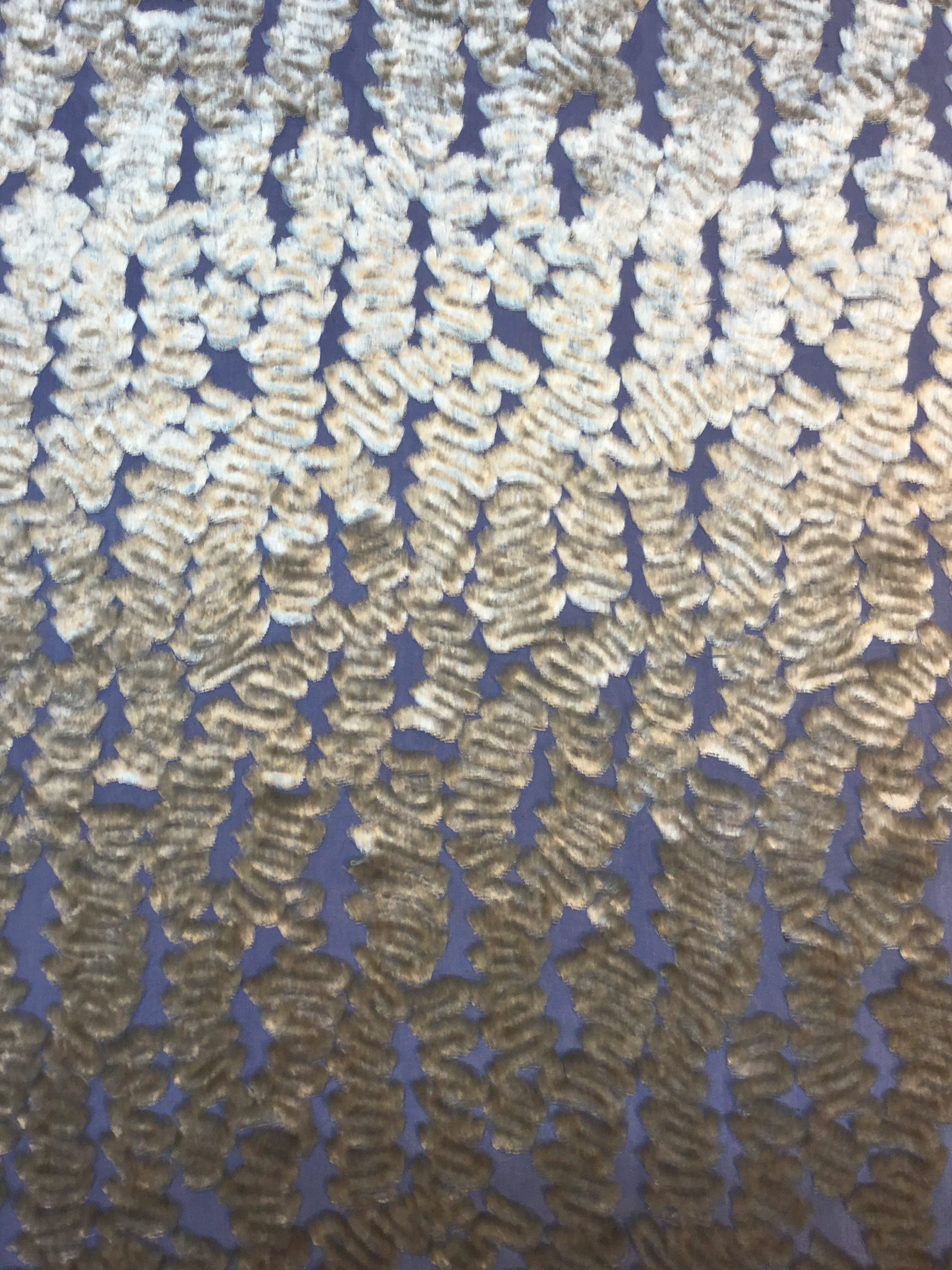 Silk Rayon Burn Out Velvet