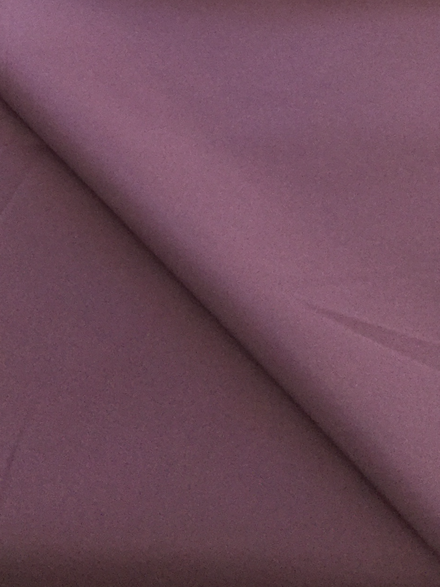 Polyester and Lycra Lining in Grape