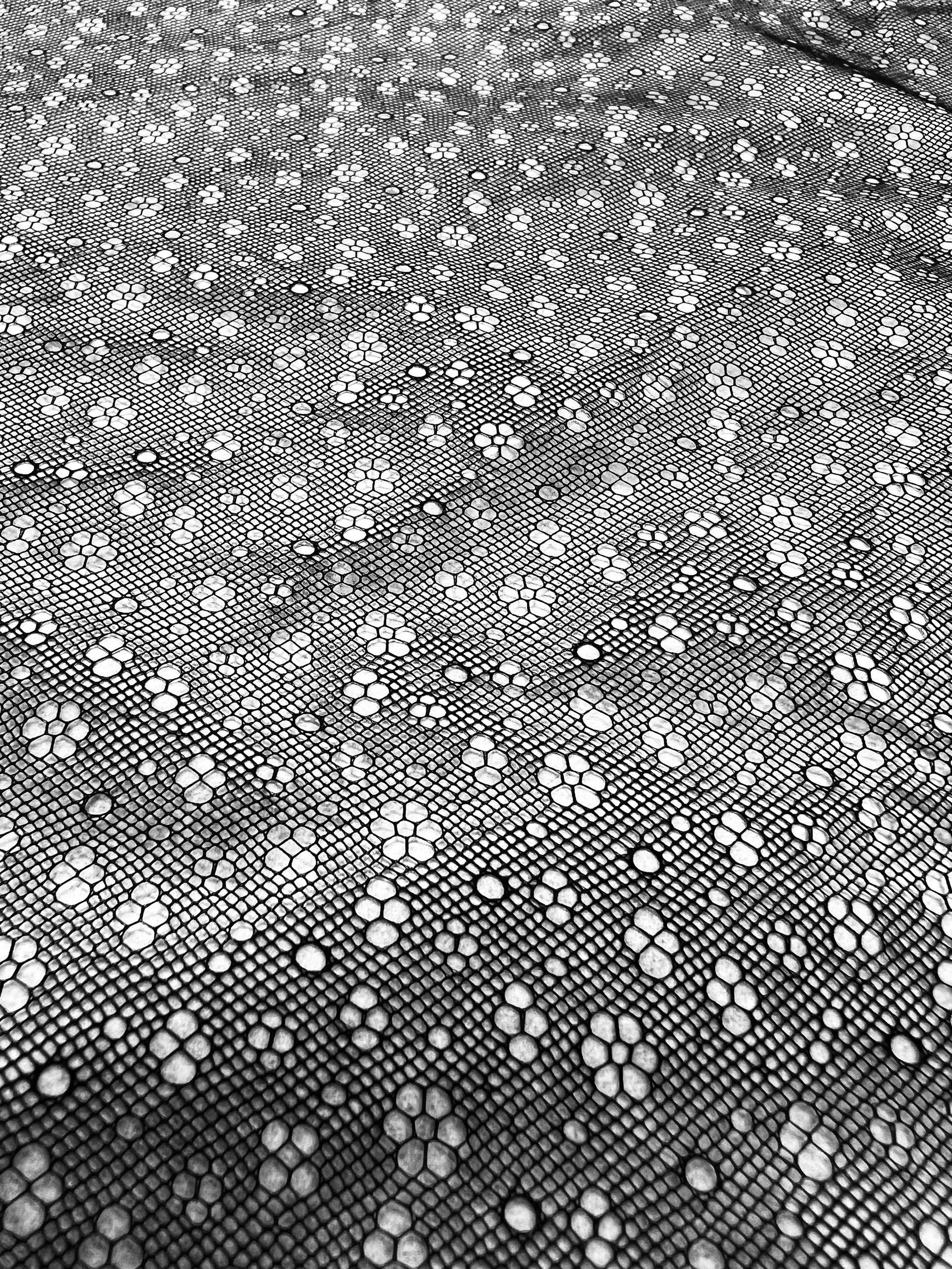 Pointelle Illusion in Black