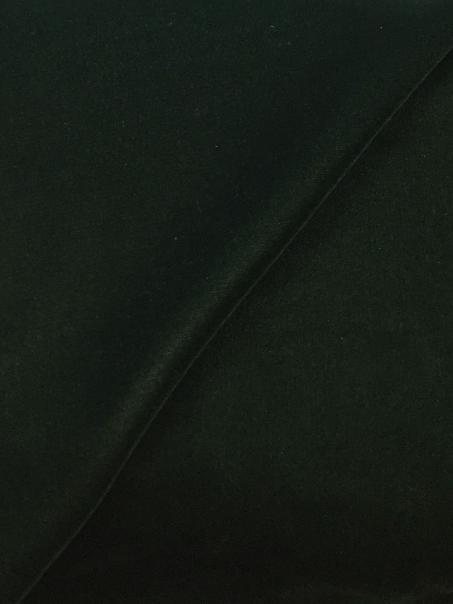 Rayon-Acetate Velvet in Forest