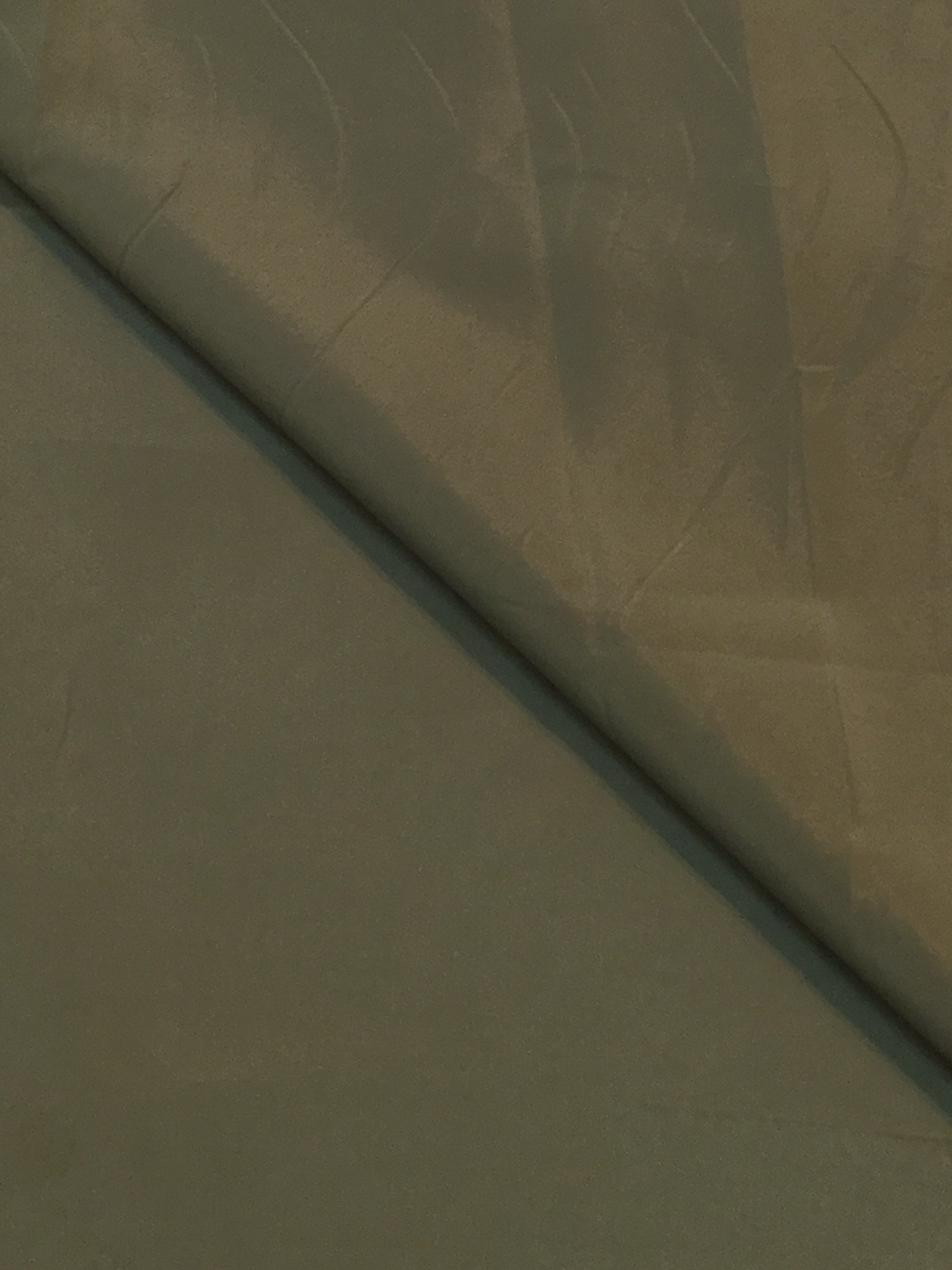 Polyester and Lycra Lining in Moss