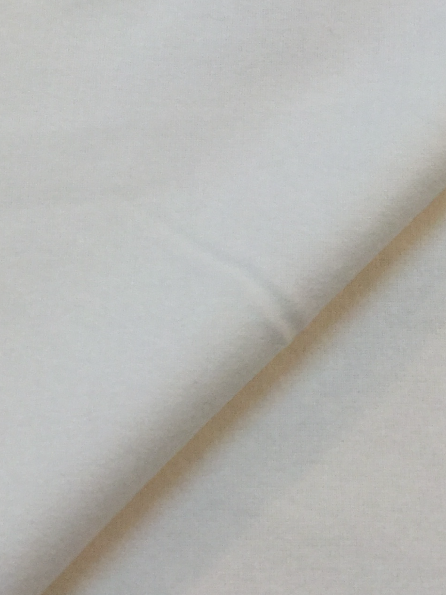 Cotton 2-Ply Flannel in Ivory