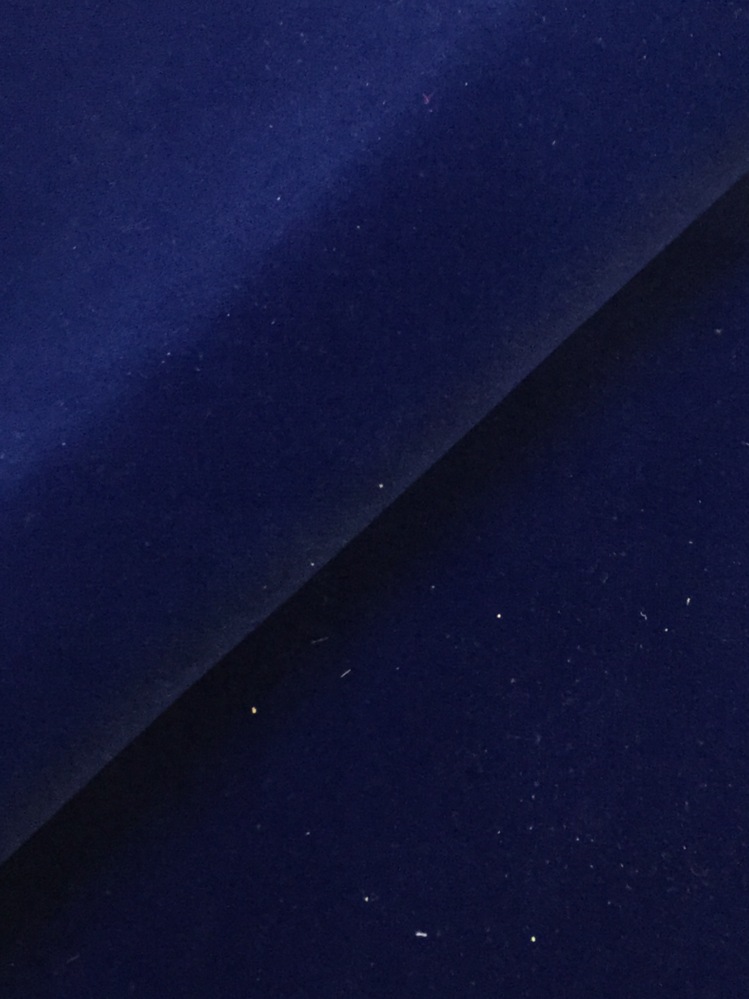 Flameproof Upholstery Cotton Velvet in Royal