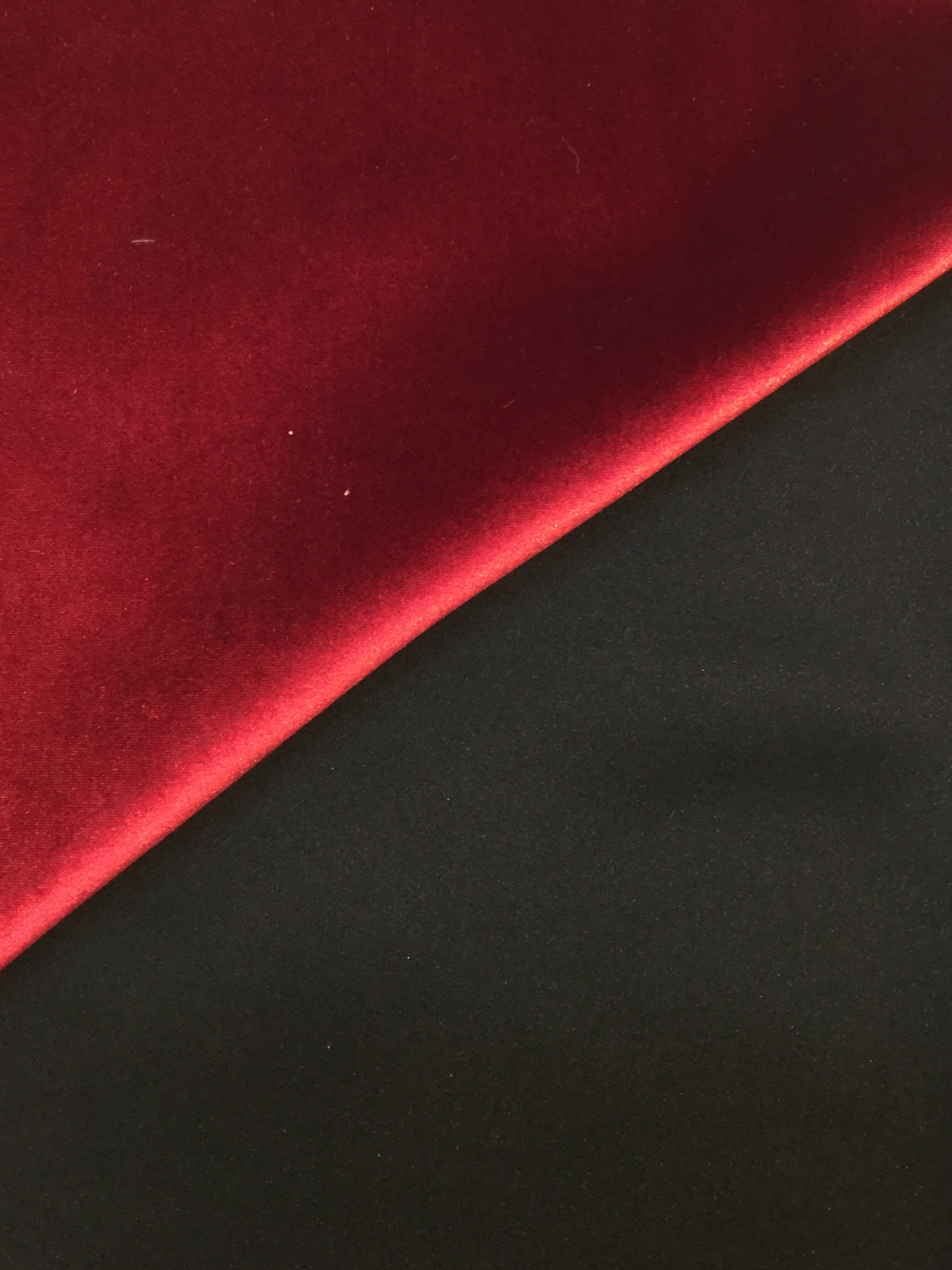 Scuba Velvet in Black/Scarlet