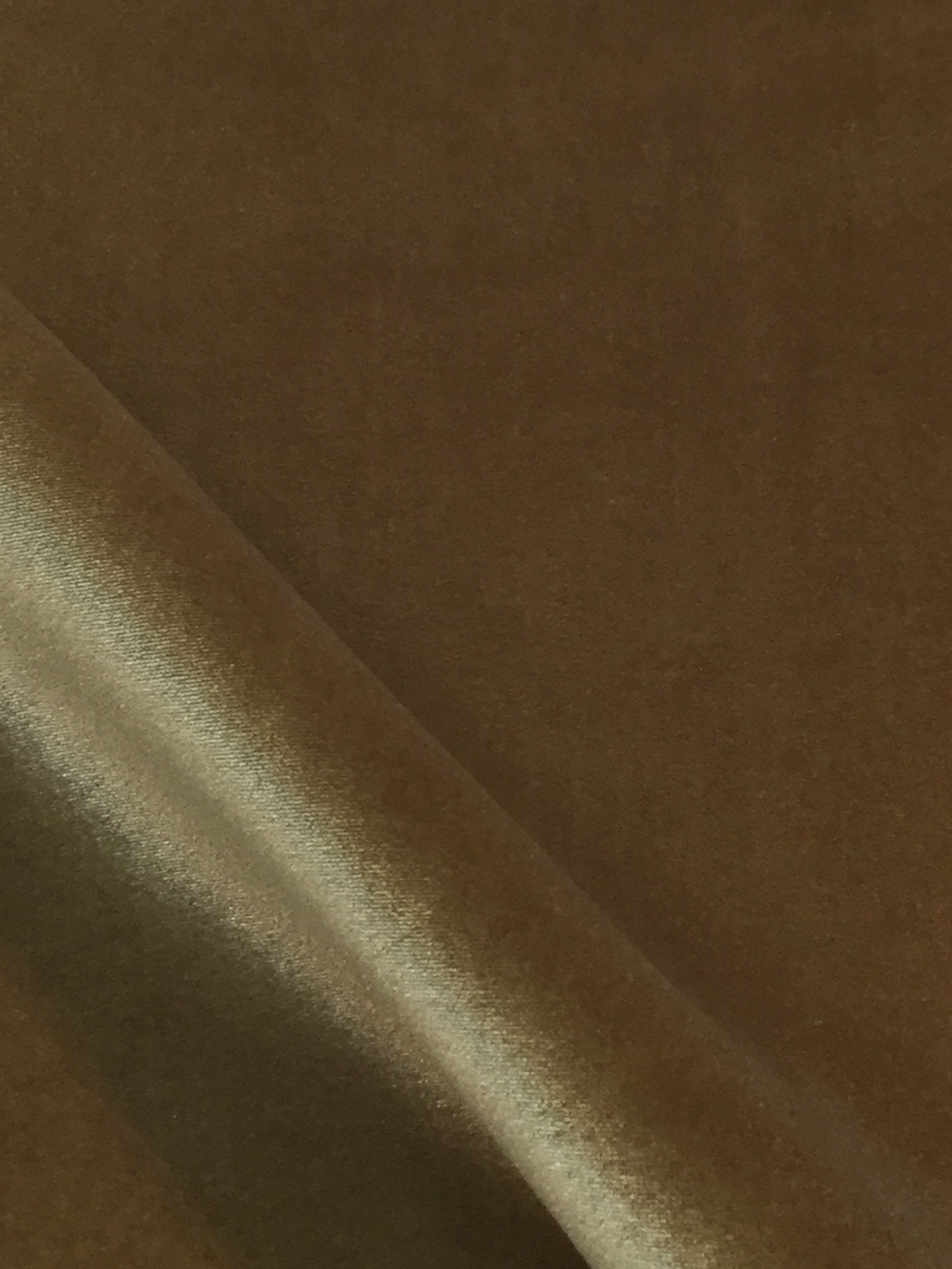 Scuba Velvet in Black/Gold