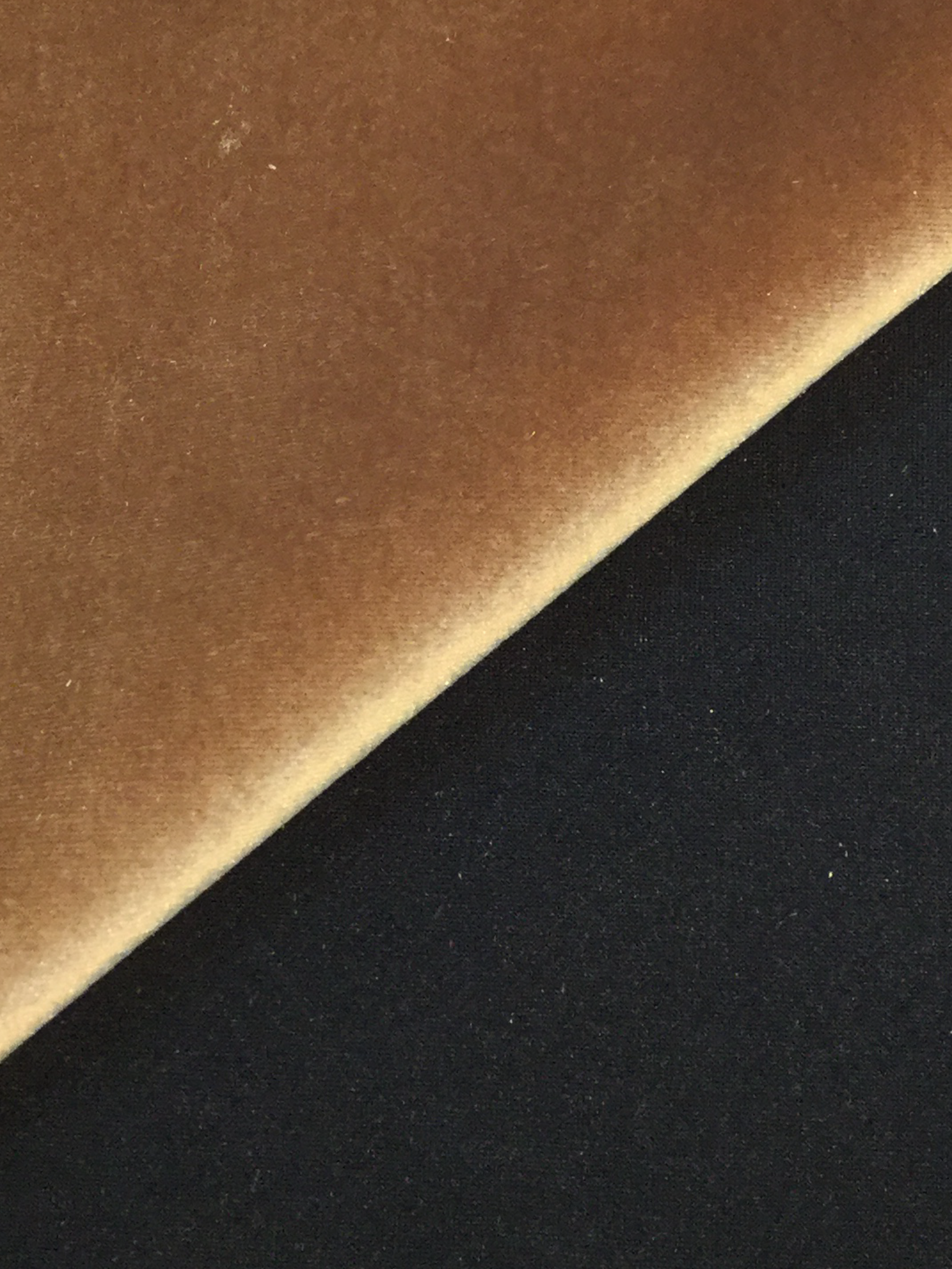 Scuba Velvet in Black/Gold