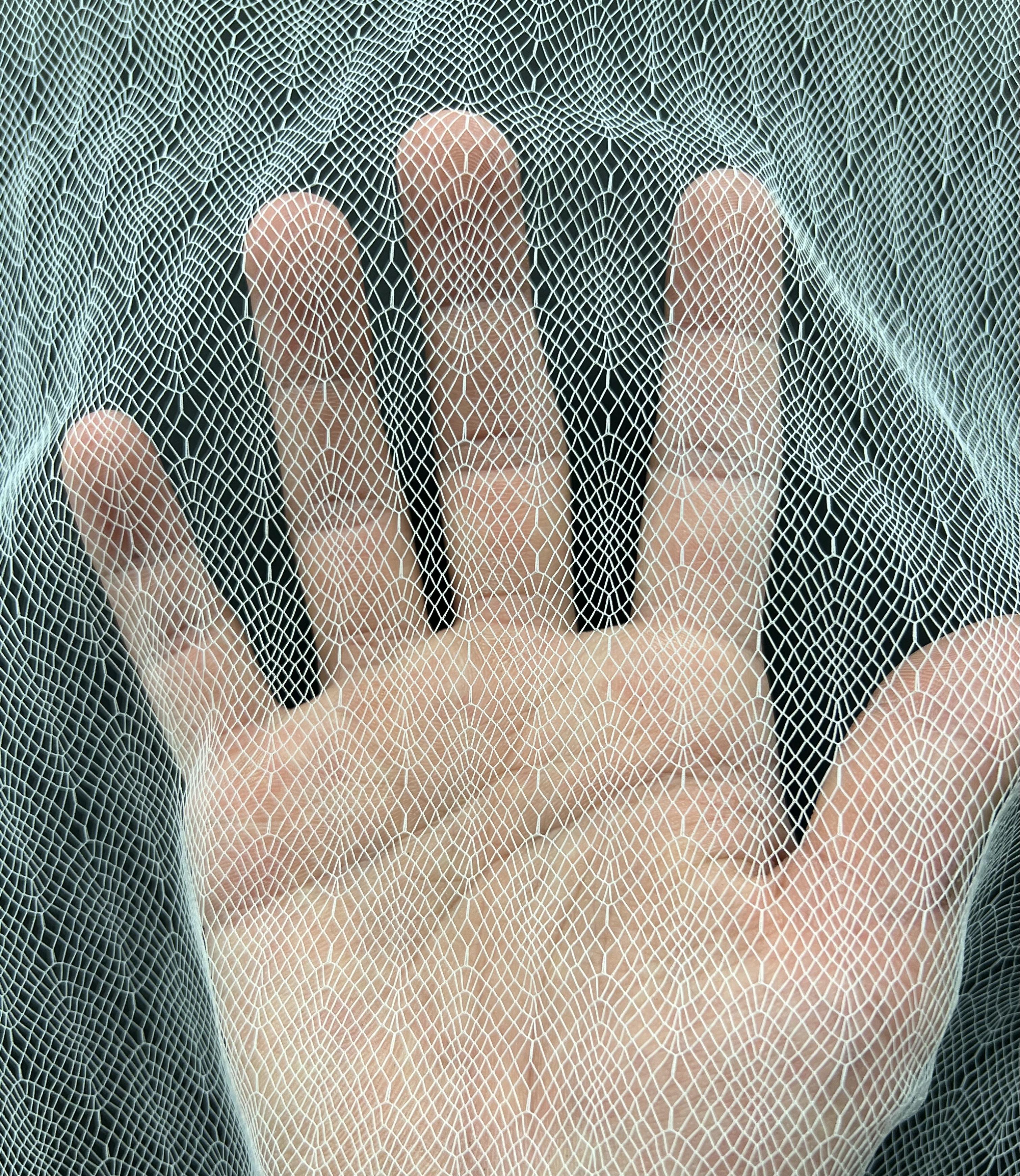 Novelty Illusion in Off White