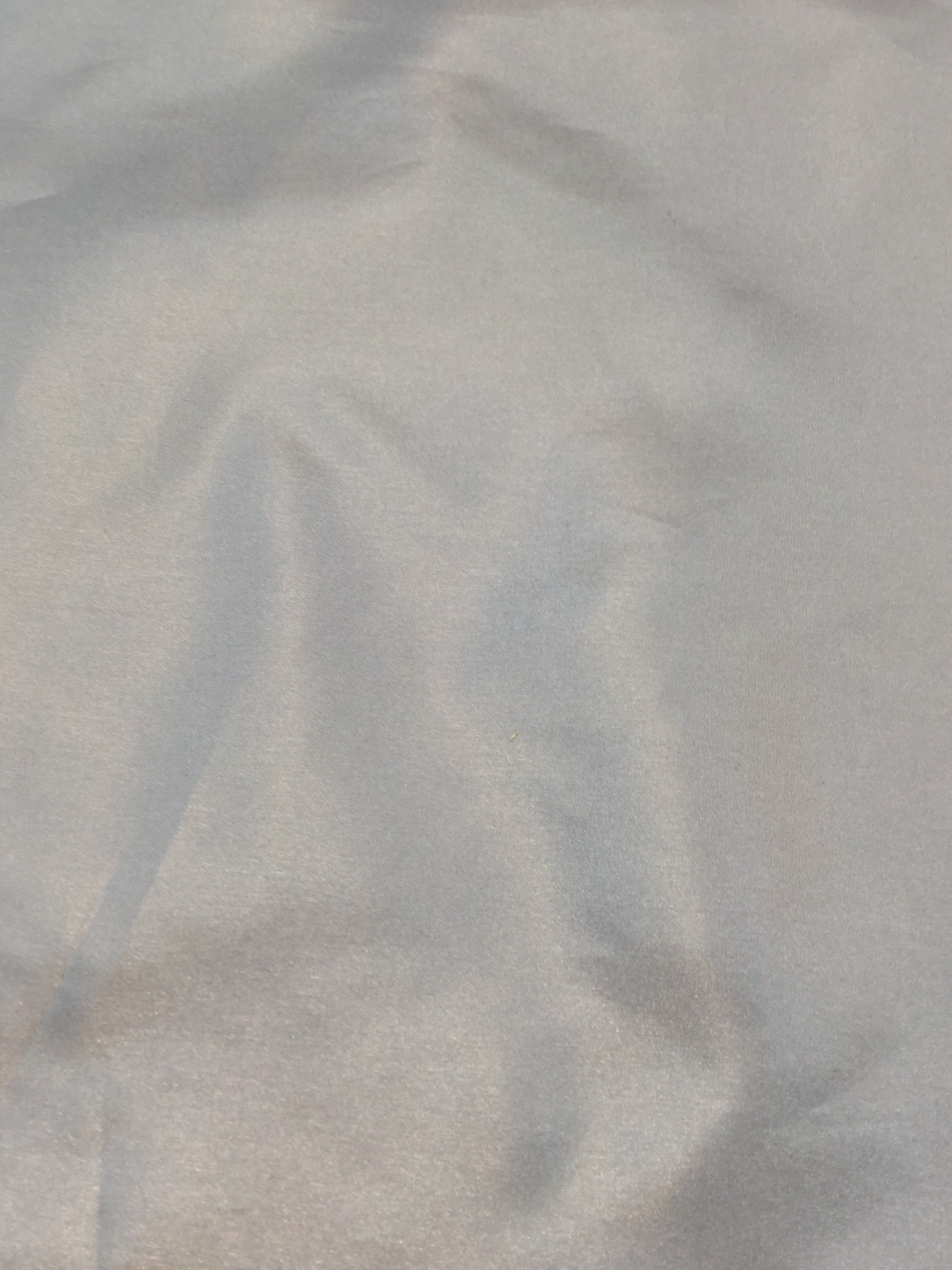 Polyester Taffeta in Silver