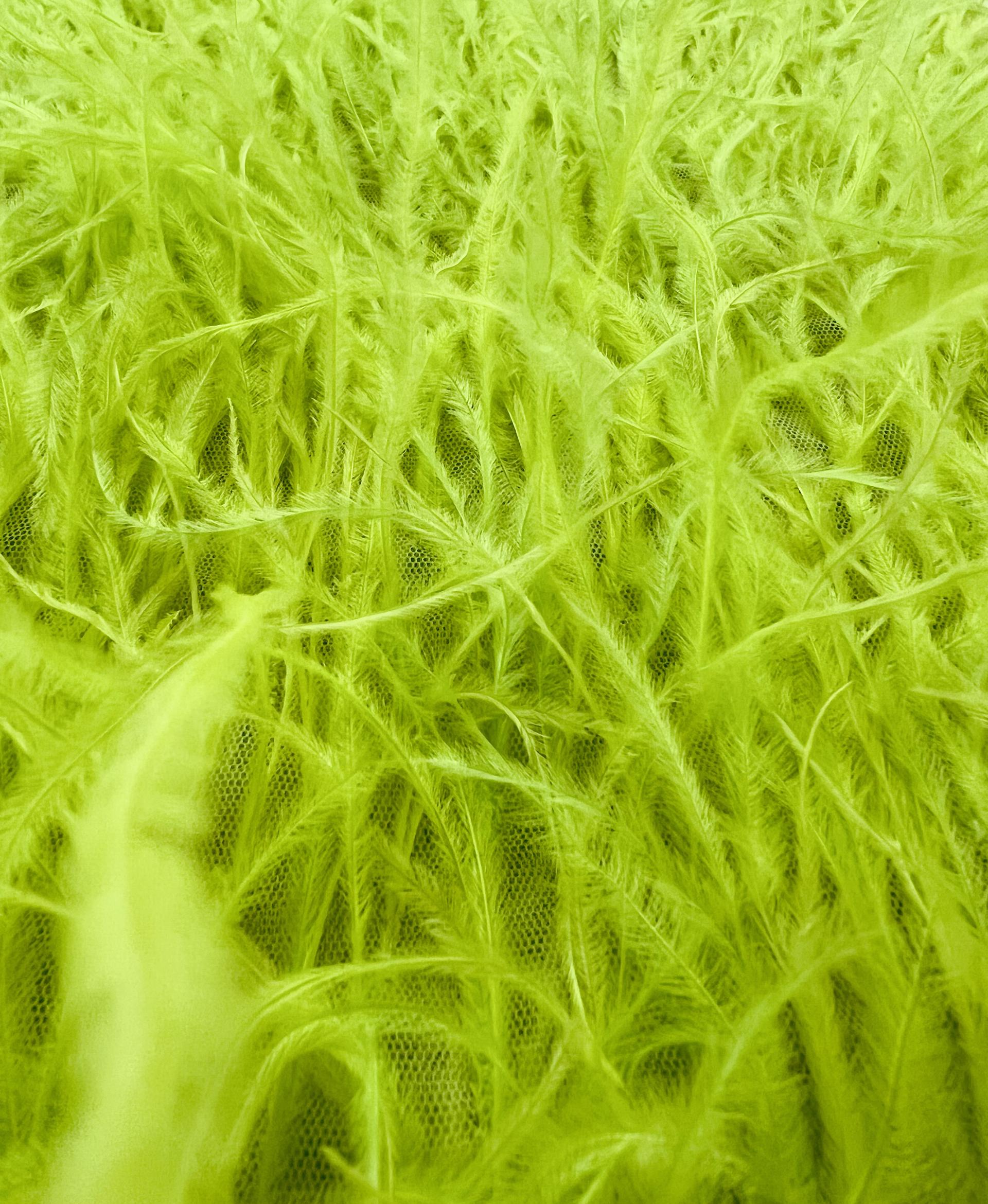 Hand Applied Ostrich Feather in Neon Green