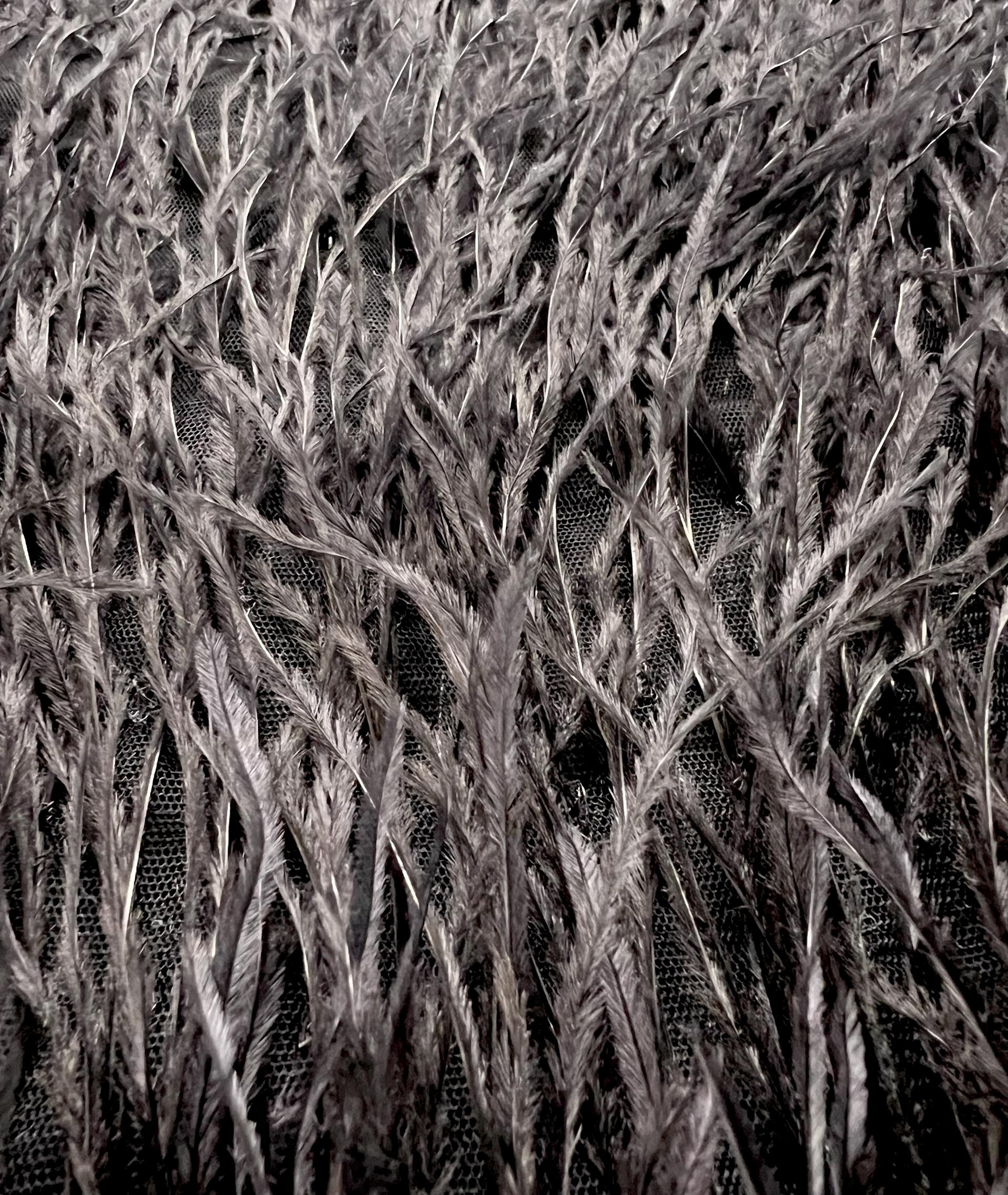 Hand Applied Ostrich Feather in Black