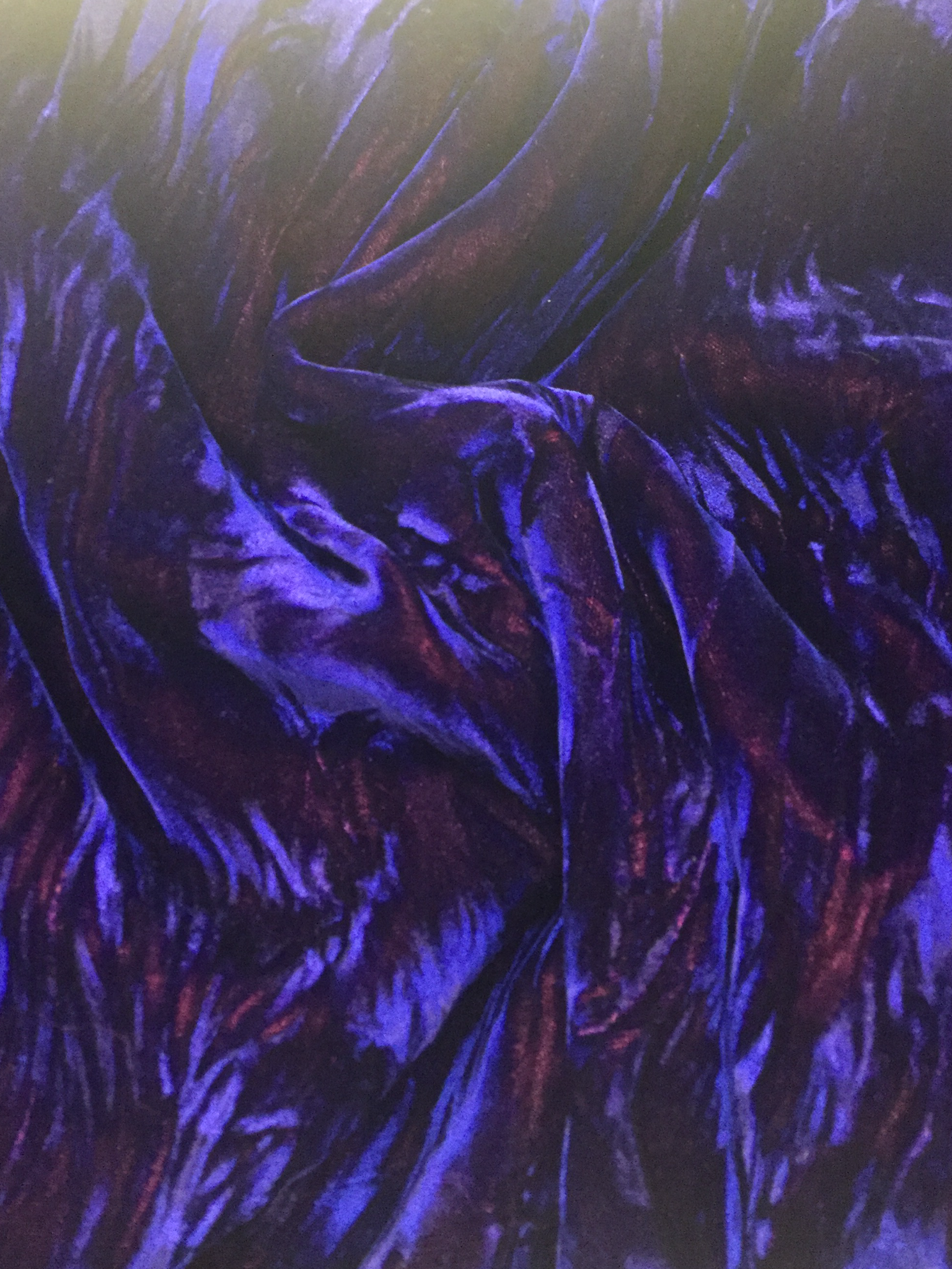 Iridescent Crushed Rayon Velvet in Blue/Red