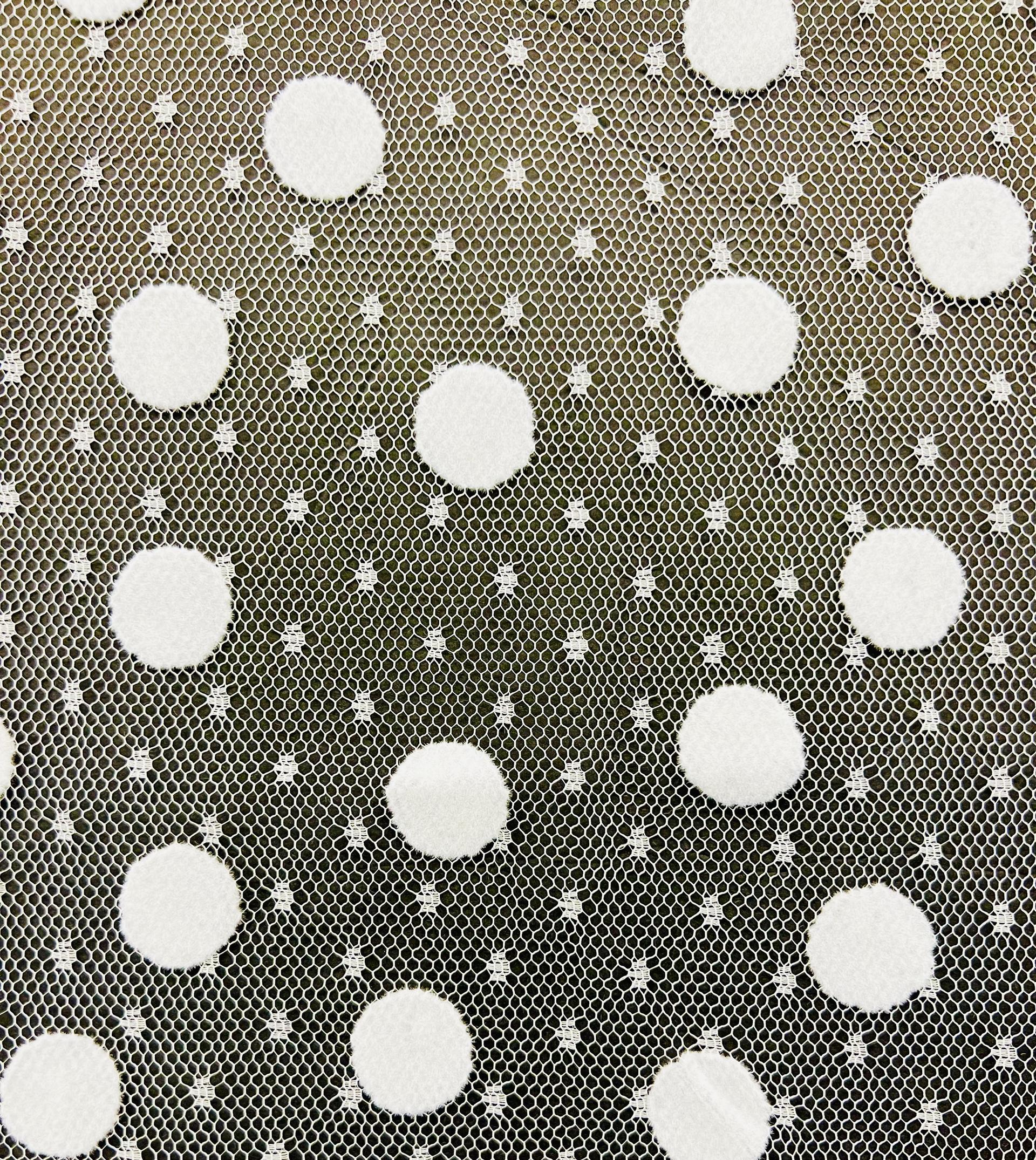 Flocking on Point dEsprit in White