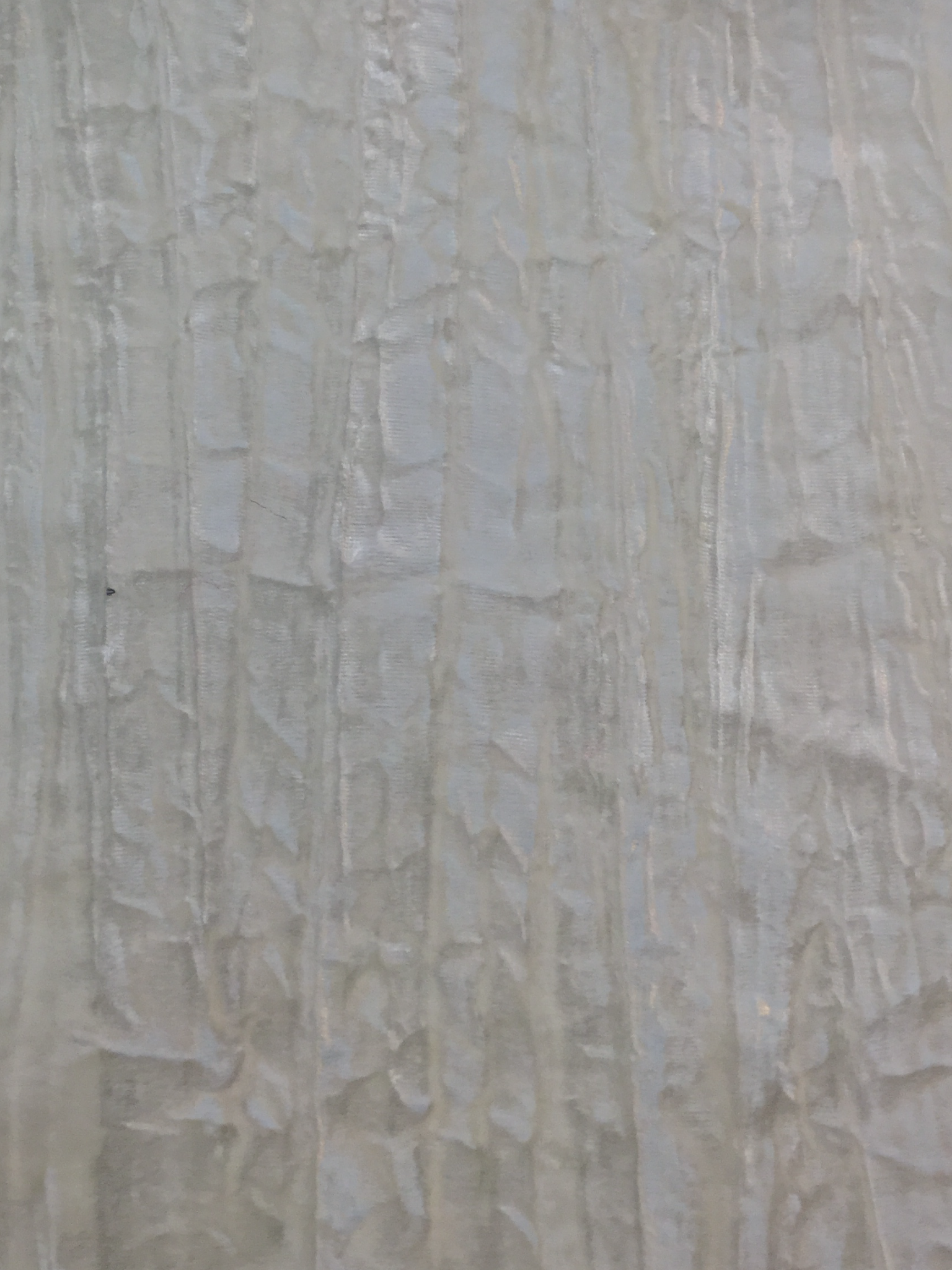 Crushed Rayon Velvet in Ivory