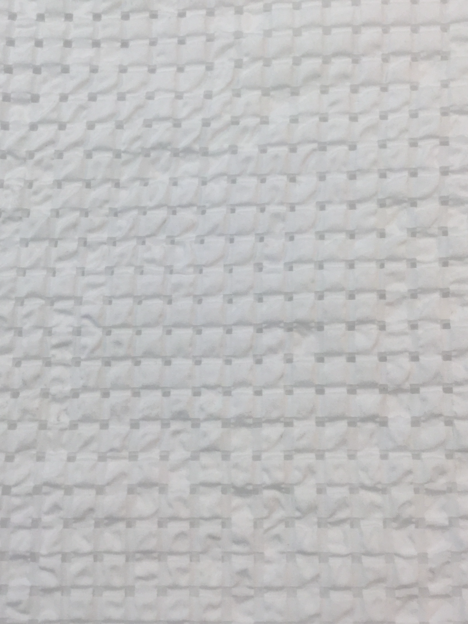 Seersucker Organza in White