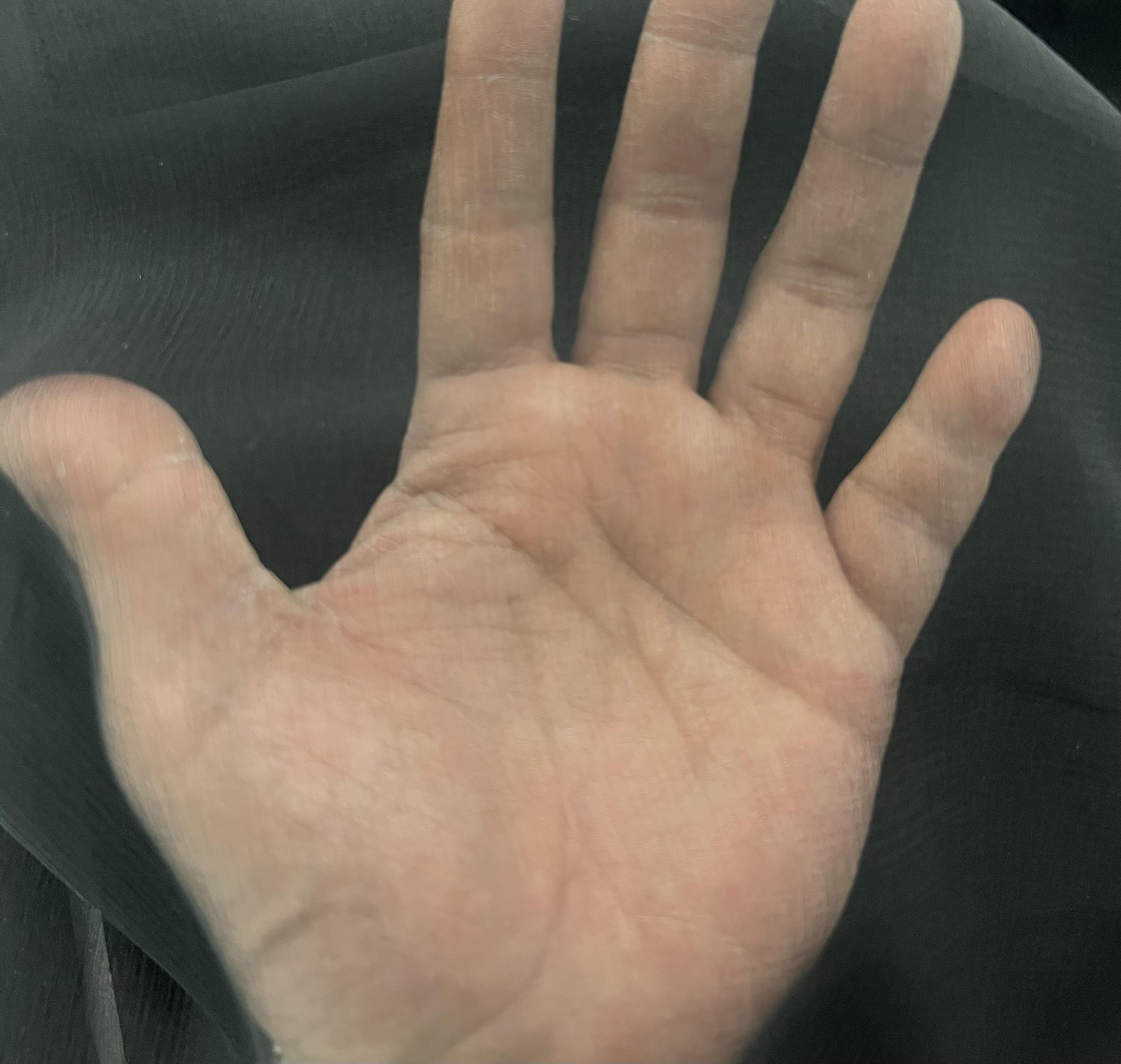 MADE IN FRANCE PURE SILK CHIFFON