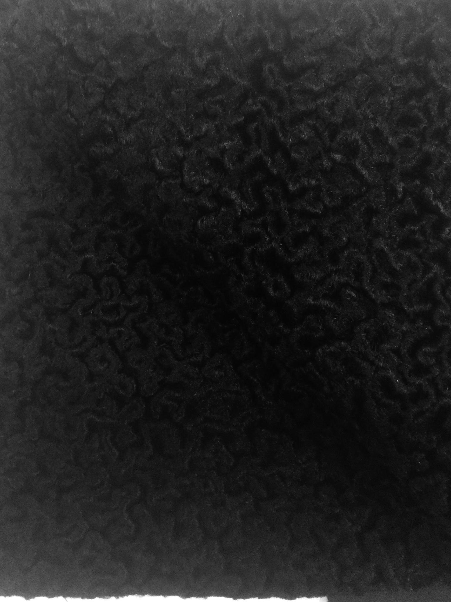 Made in Germany Acetate/Cotton/Poly Persian Lamb