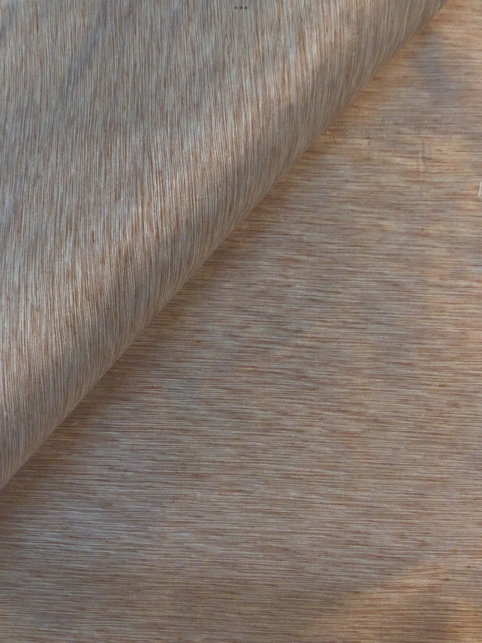 Heathered Silk Shantung in Rust/Off-white