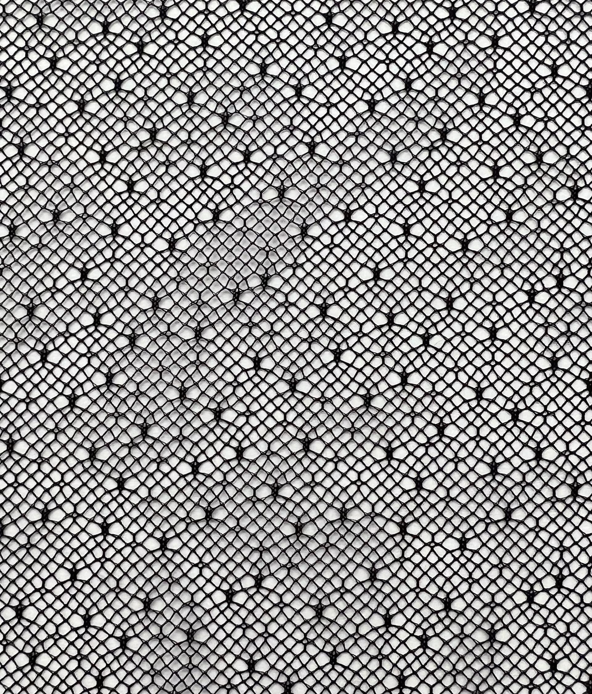 Point D'esprit in Black