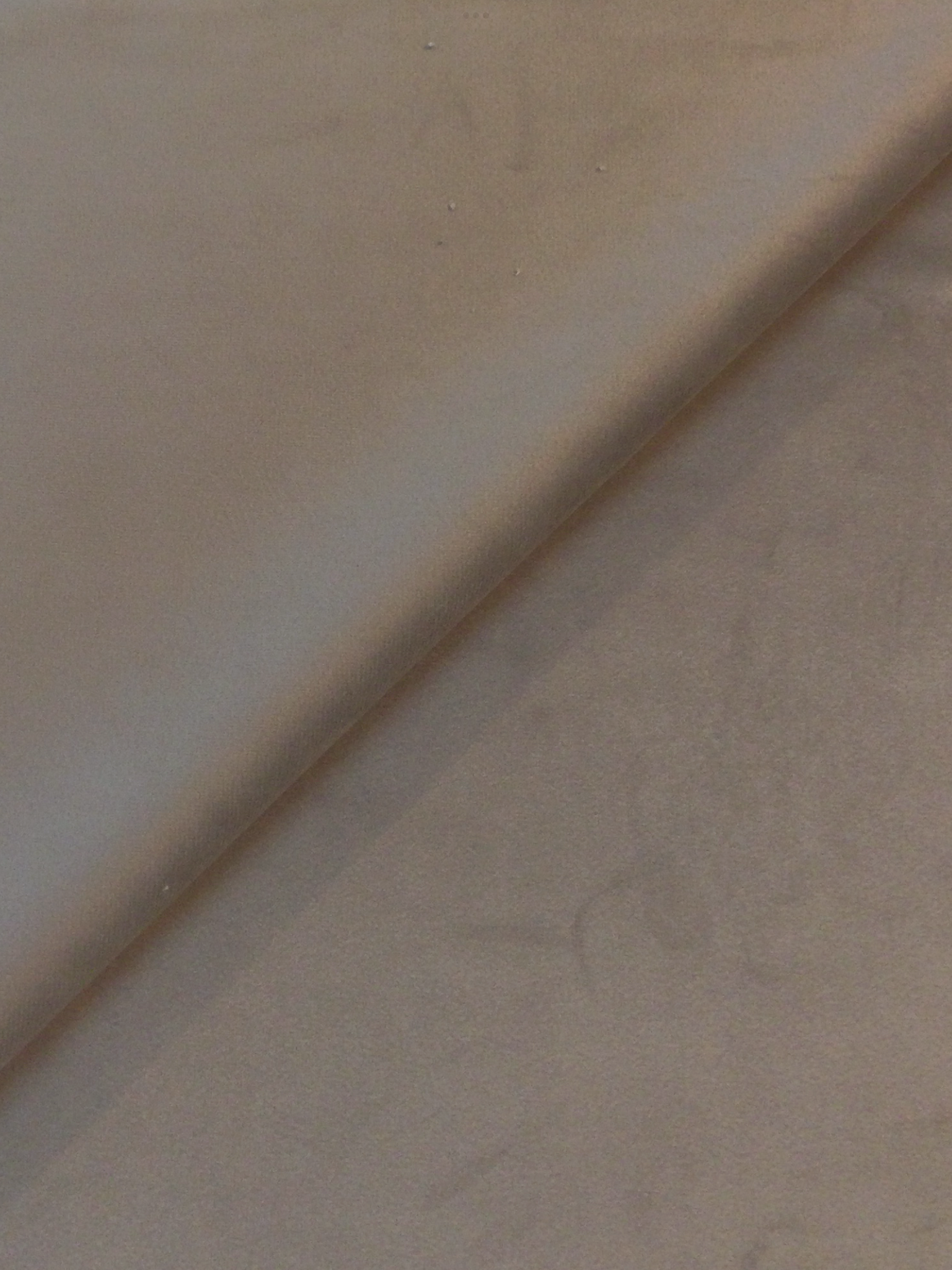 Flame Retardant Durasuede in Champagne