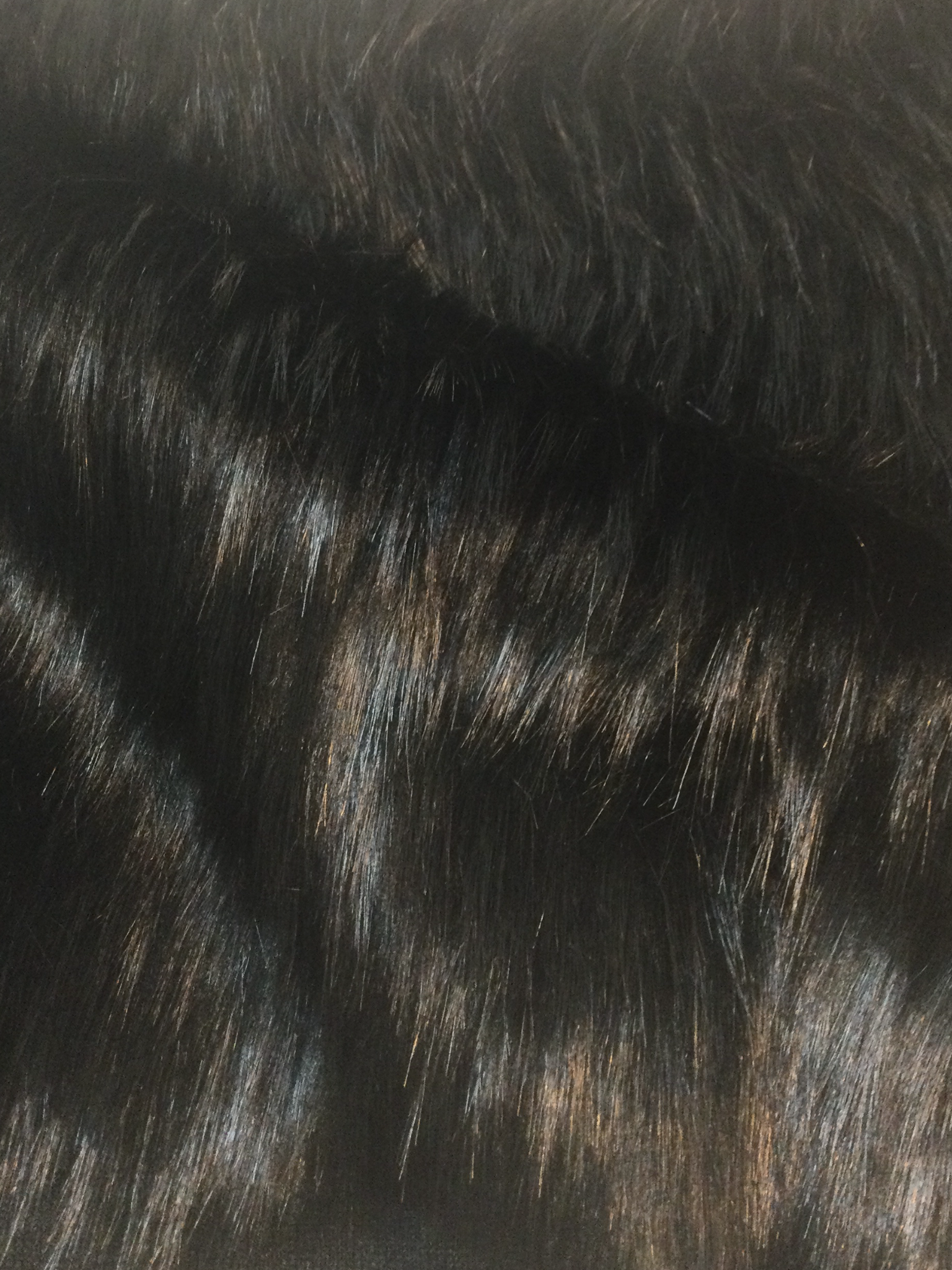 Luxury Faux Fur in Black