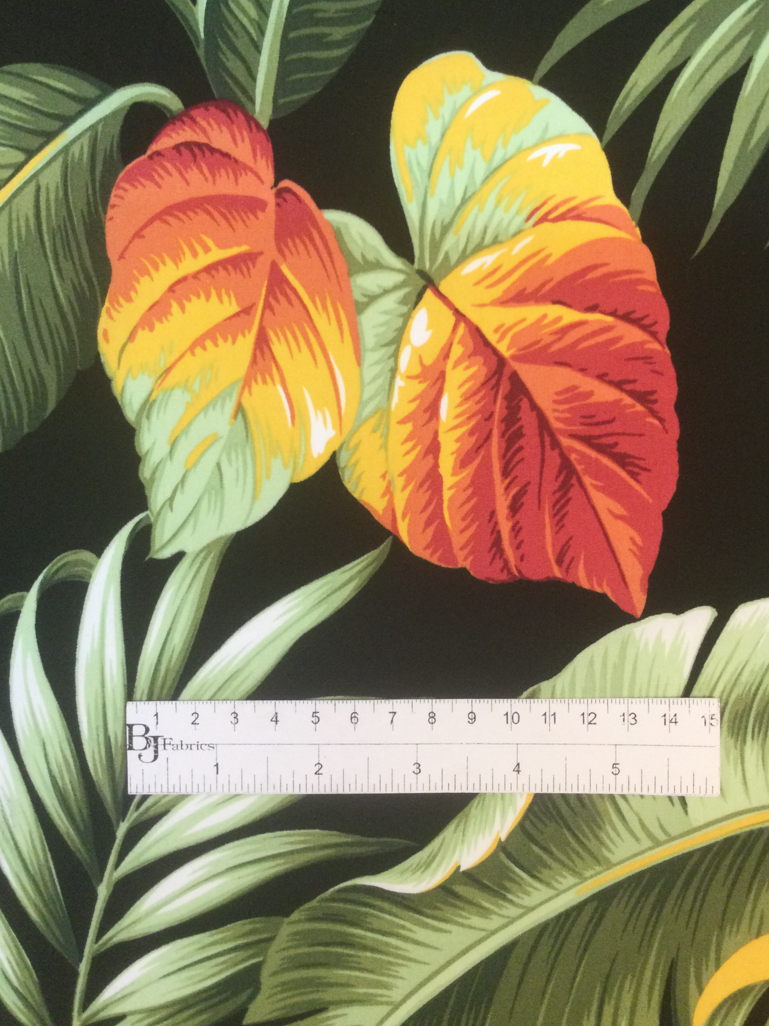 Cotton Broadcloth Print