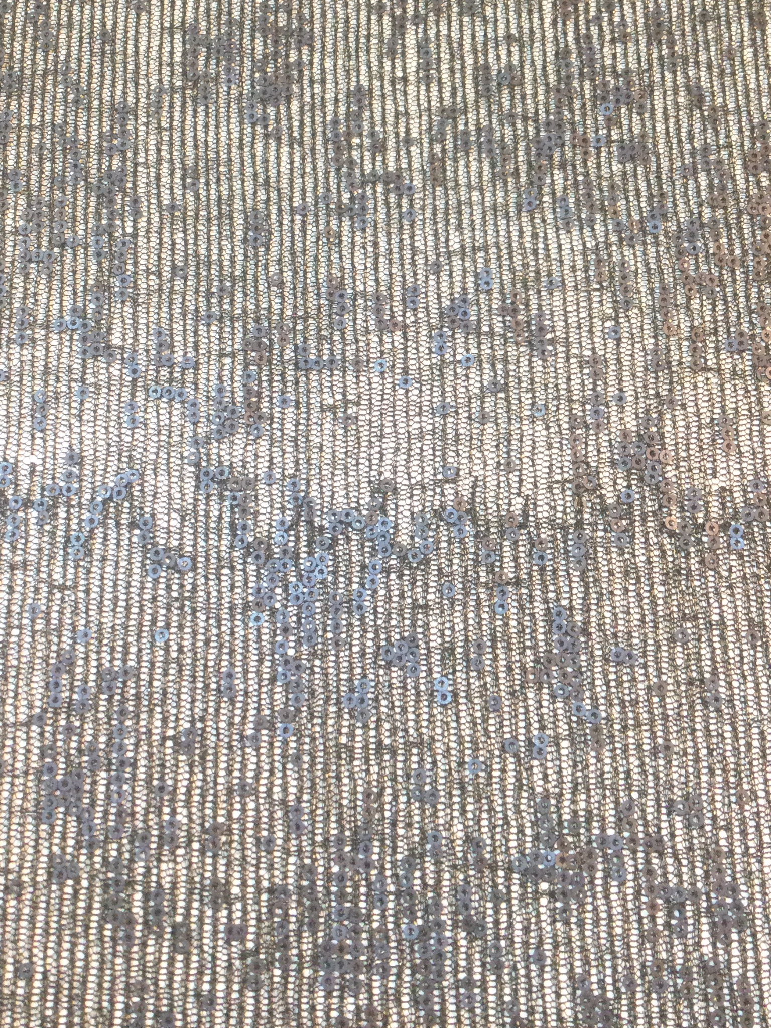 Sequins on Metallic Lace