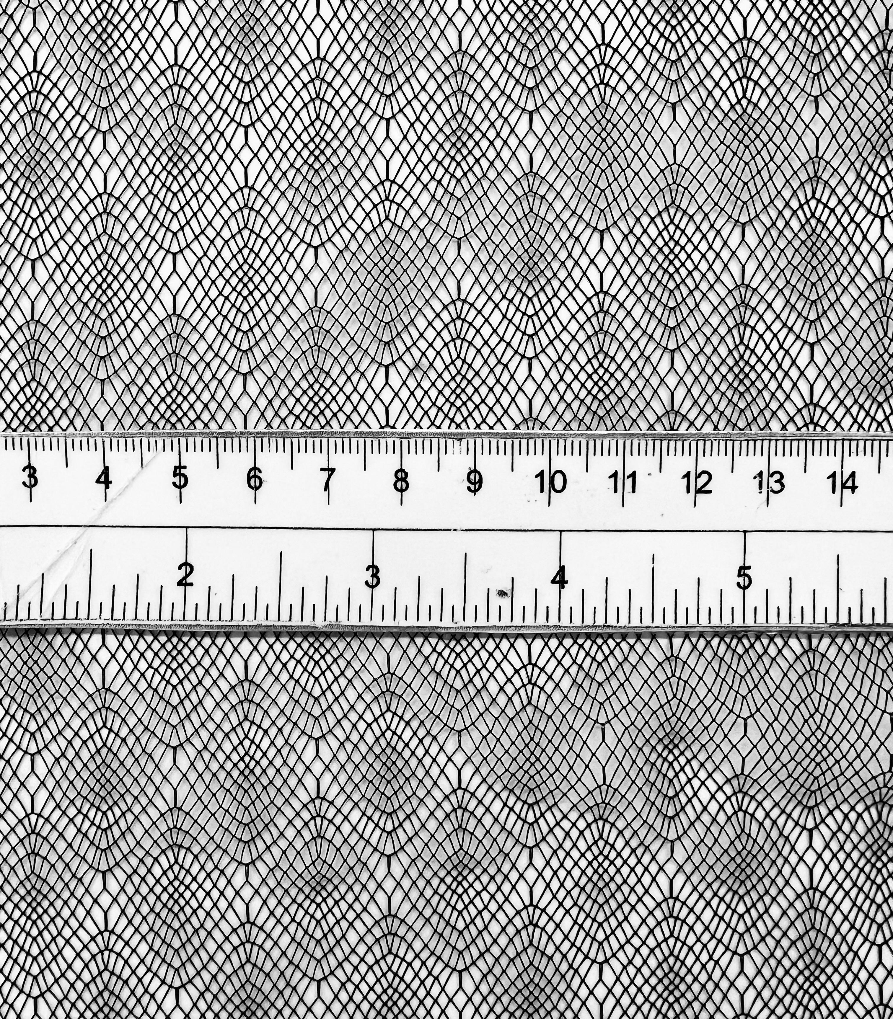 Novelty Illusion in Black