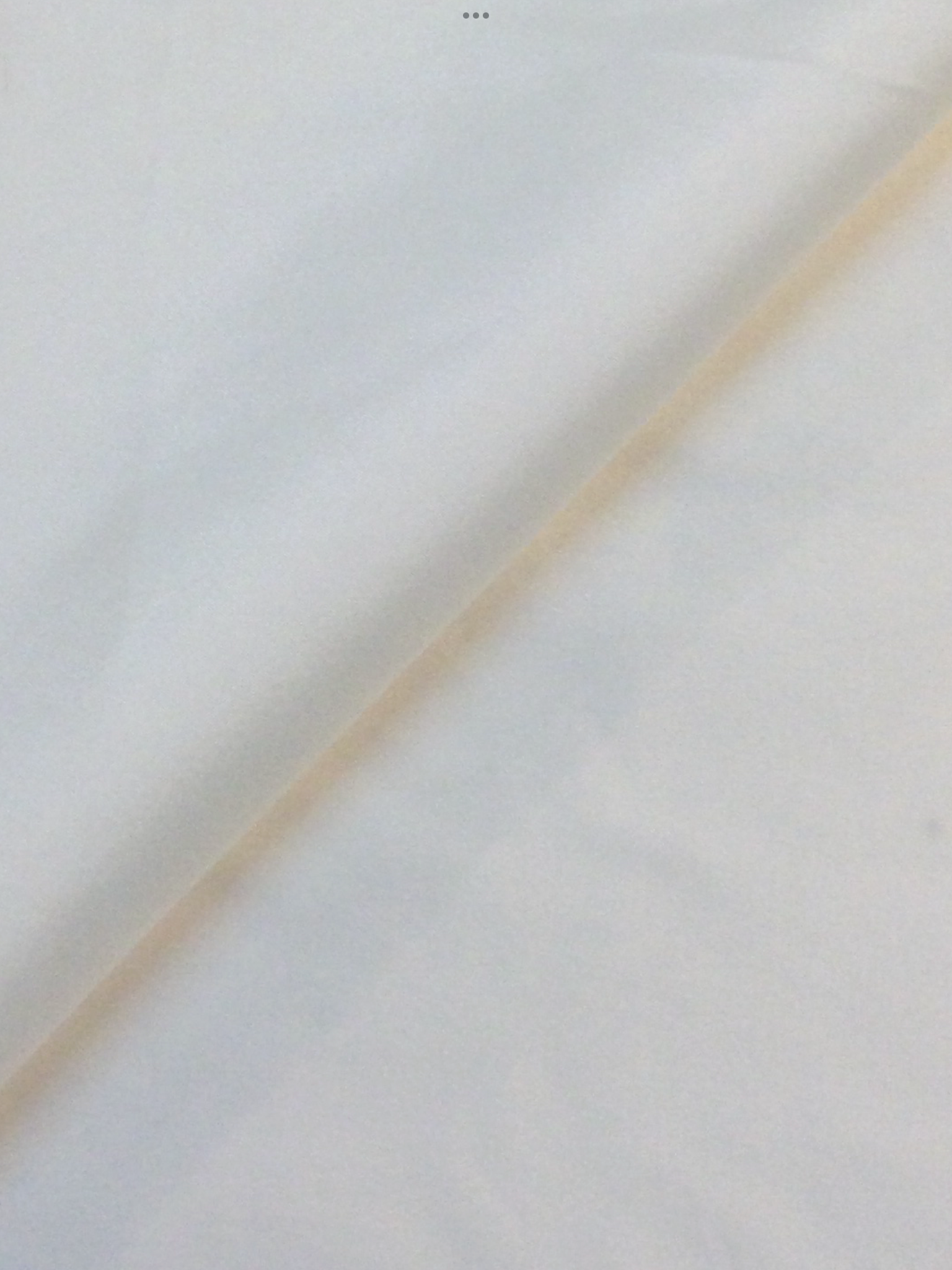 Stretch Taffeta in Diamond White