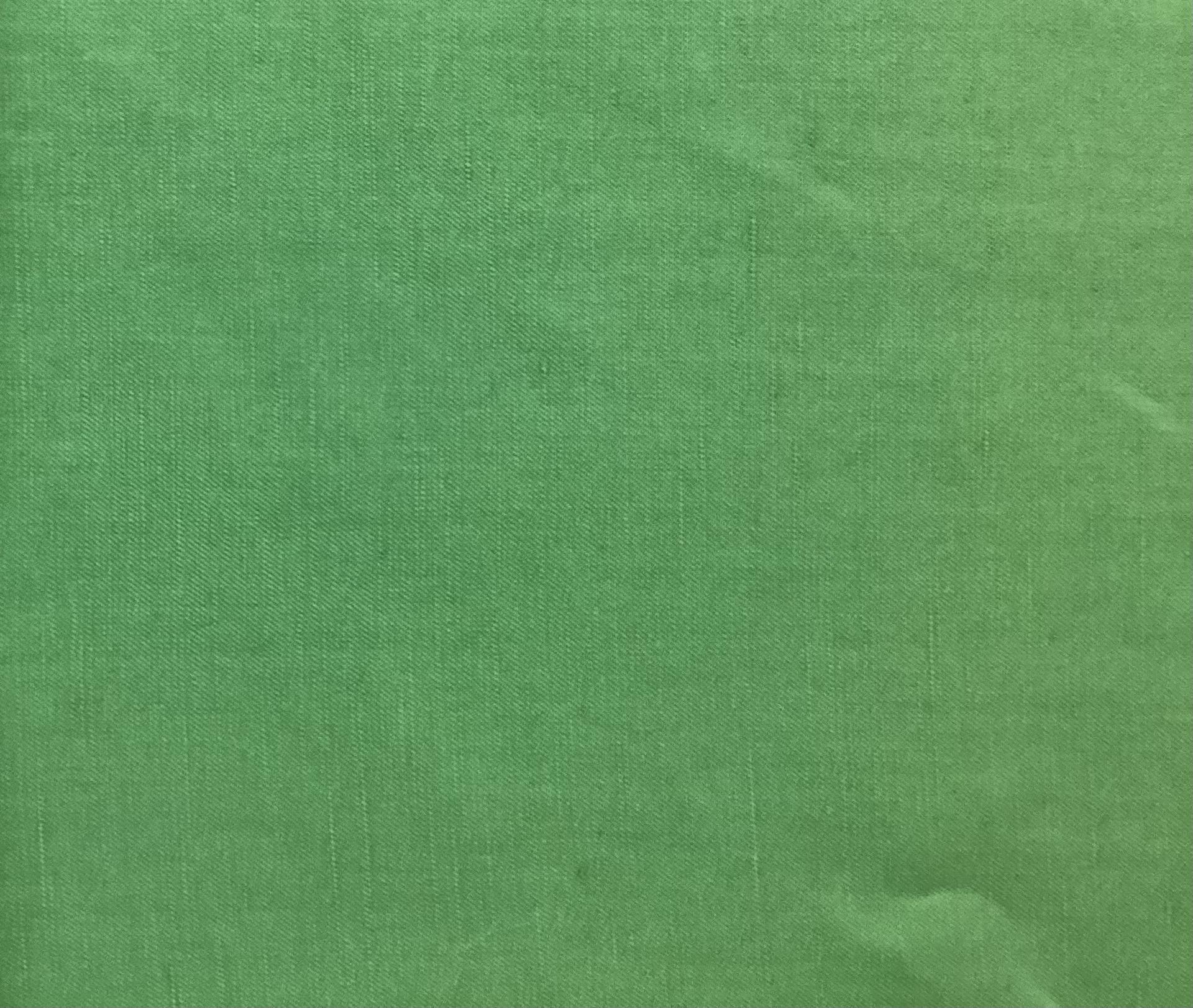 Made in Italy Loro Piana Linen/Silk In Grass Green