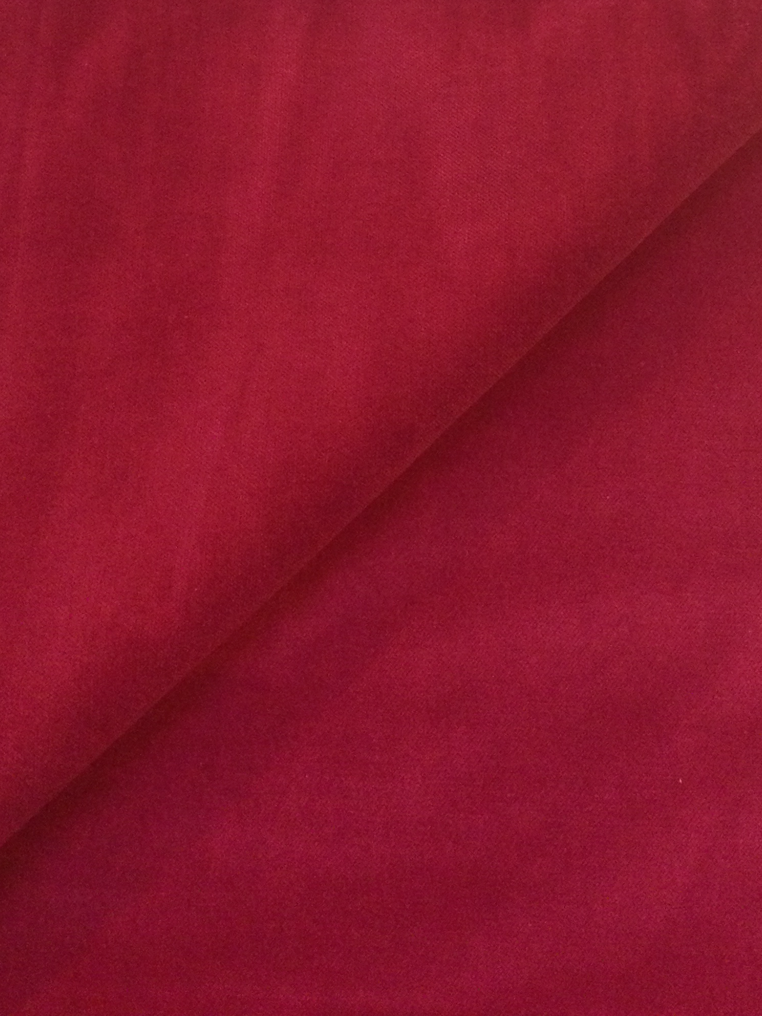 Pure Cotton Velvet in Scarlet