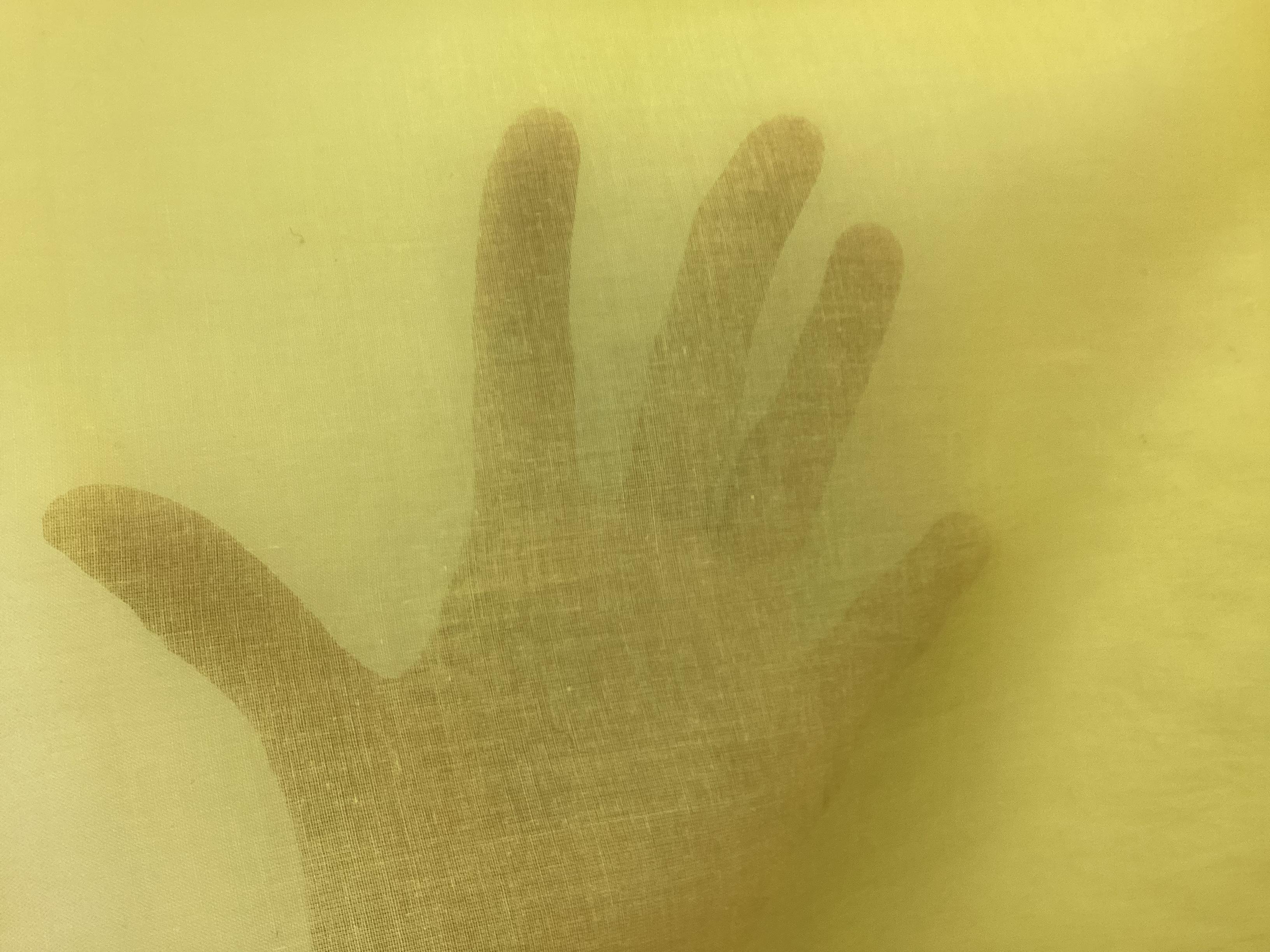 100% Cotton Organdy In Lemon