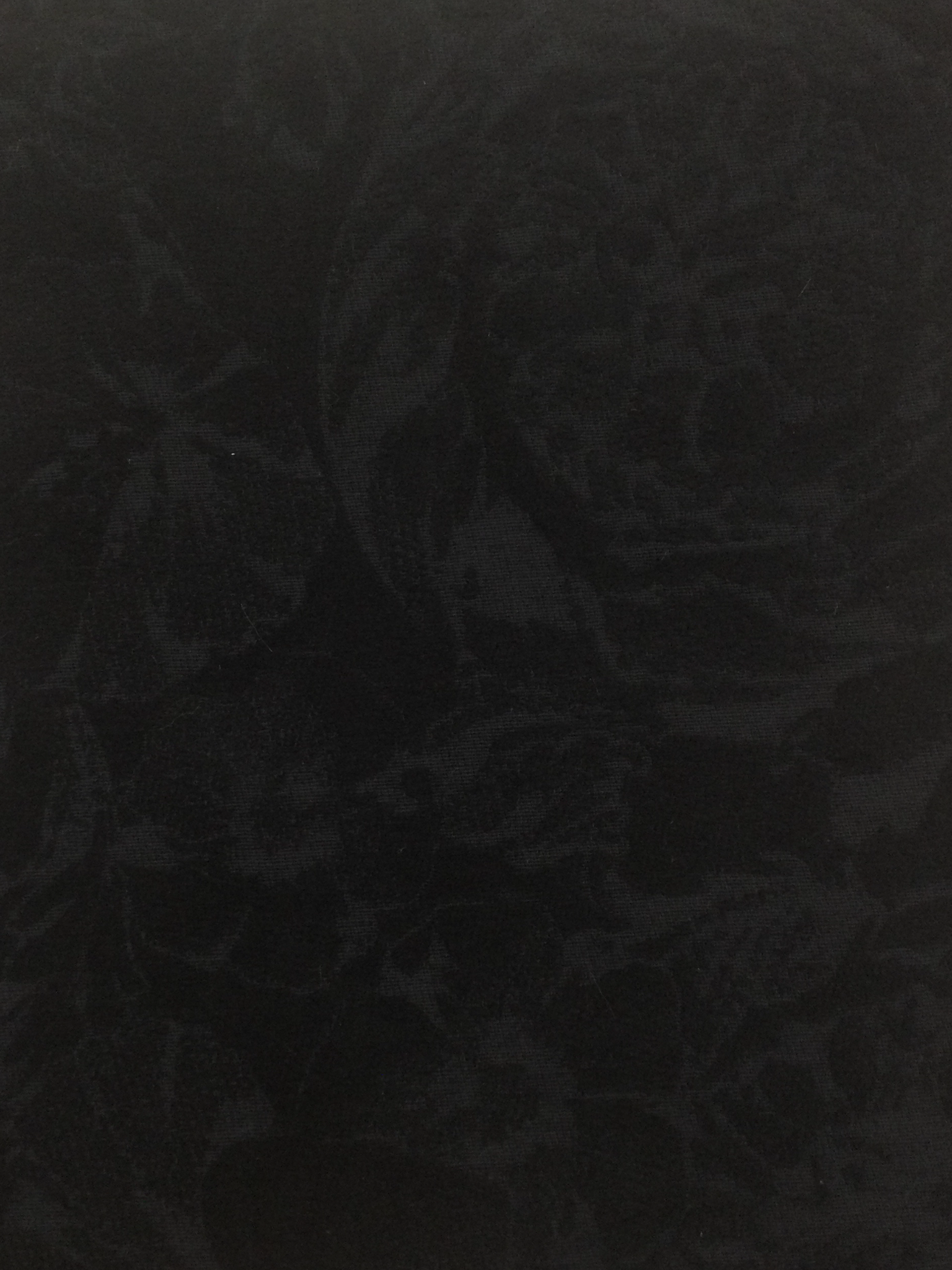 Chenille Brocade in Black