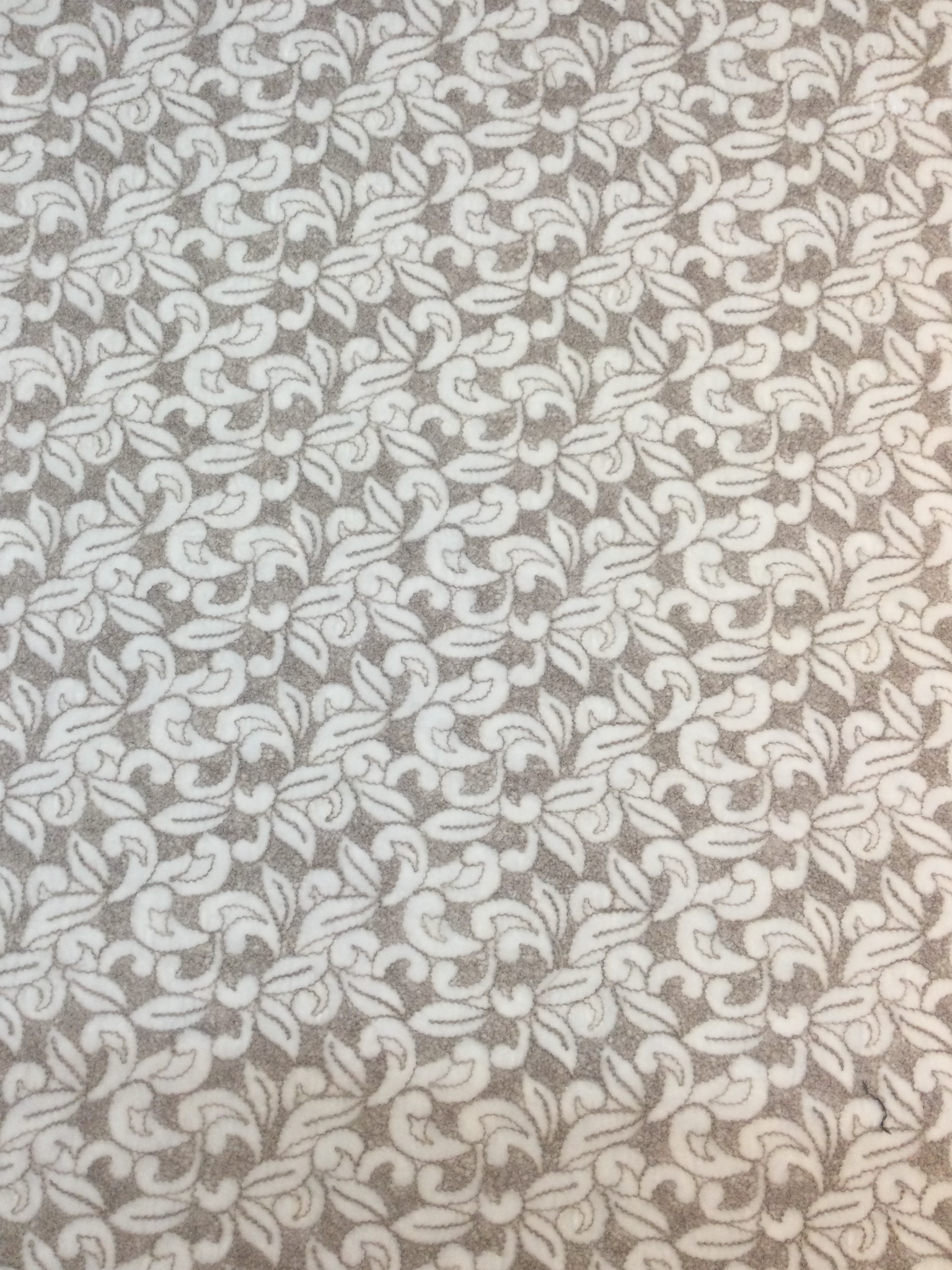 Embroidered Silk and Rayon Velvet with Leaves