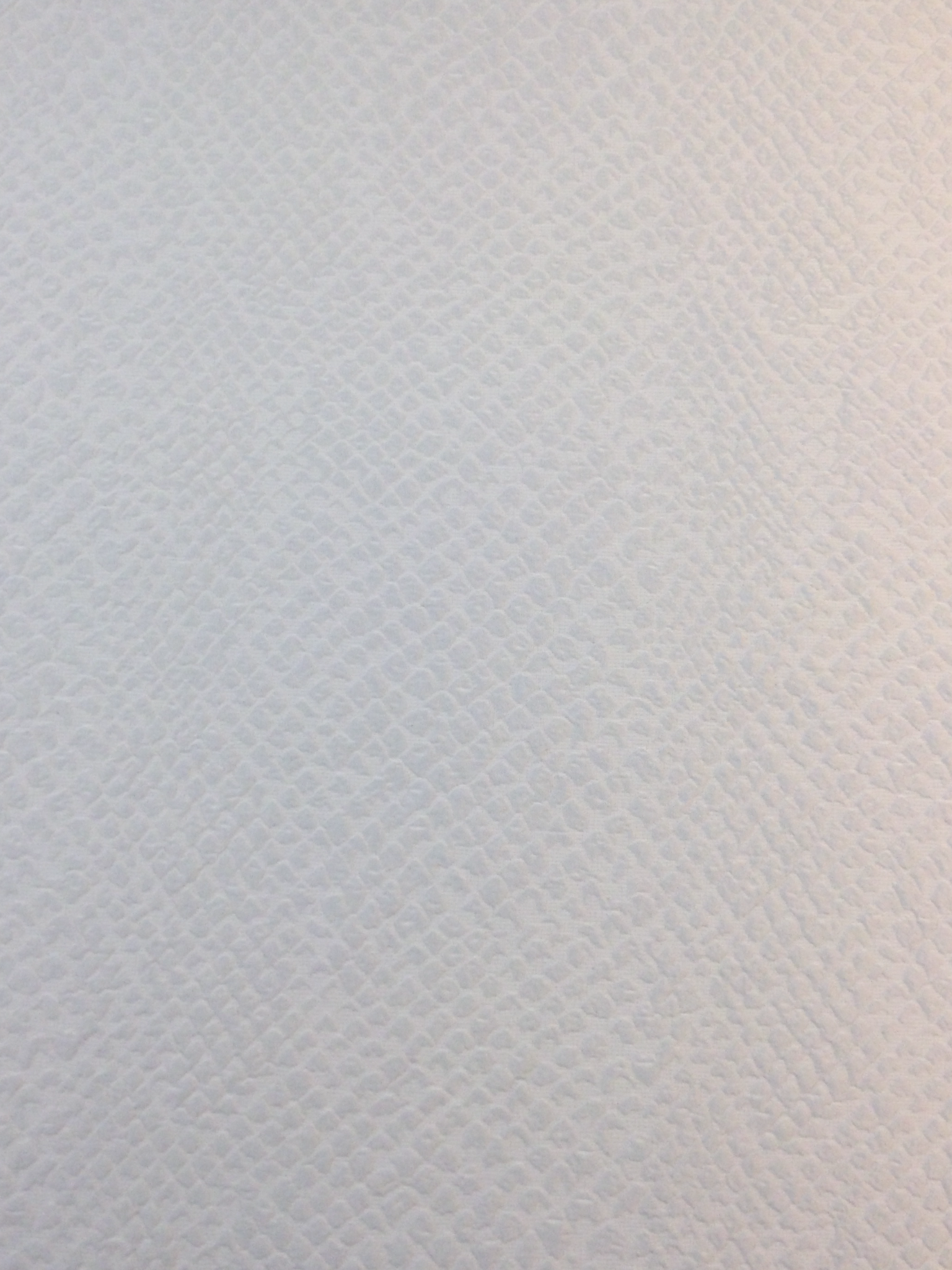 Polyester Brocade in Reptile Motif