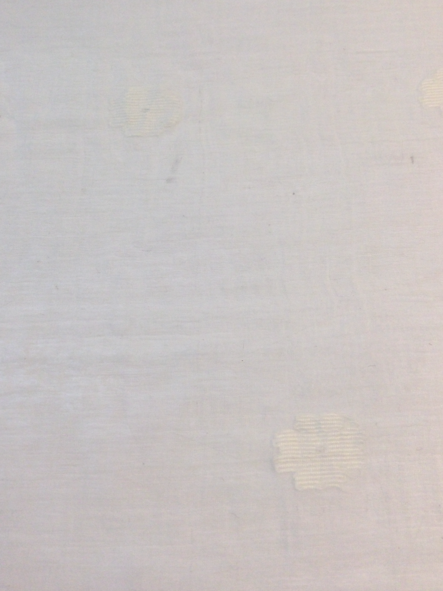 Silk and Cotton Fil Coupe'