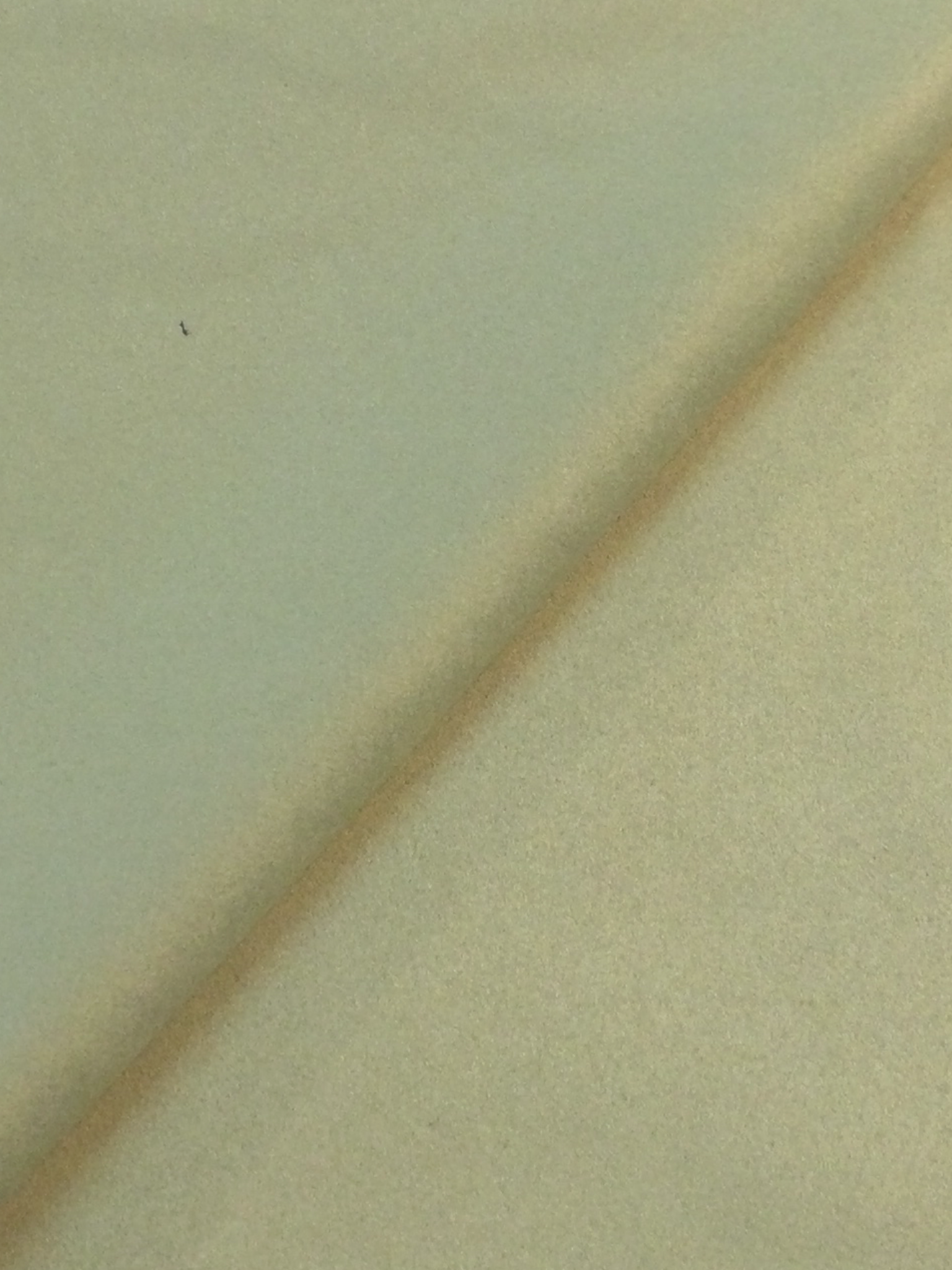 Polyester Microsuede in Mint