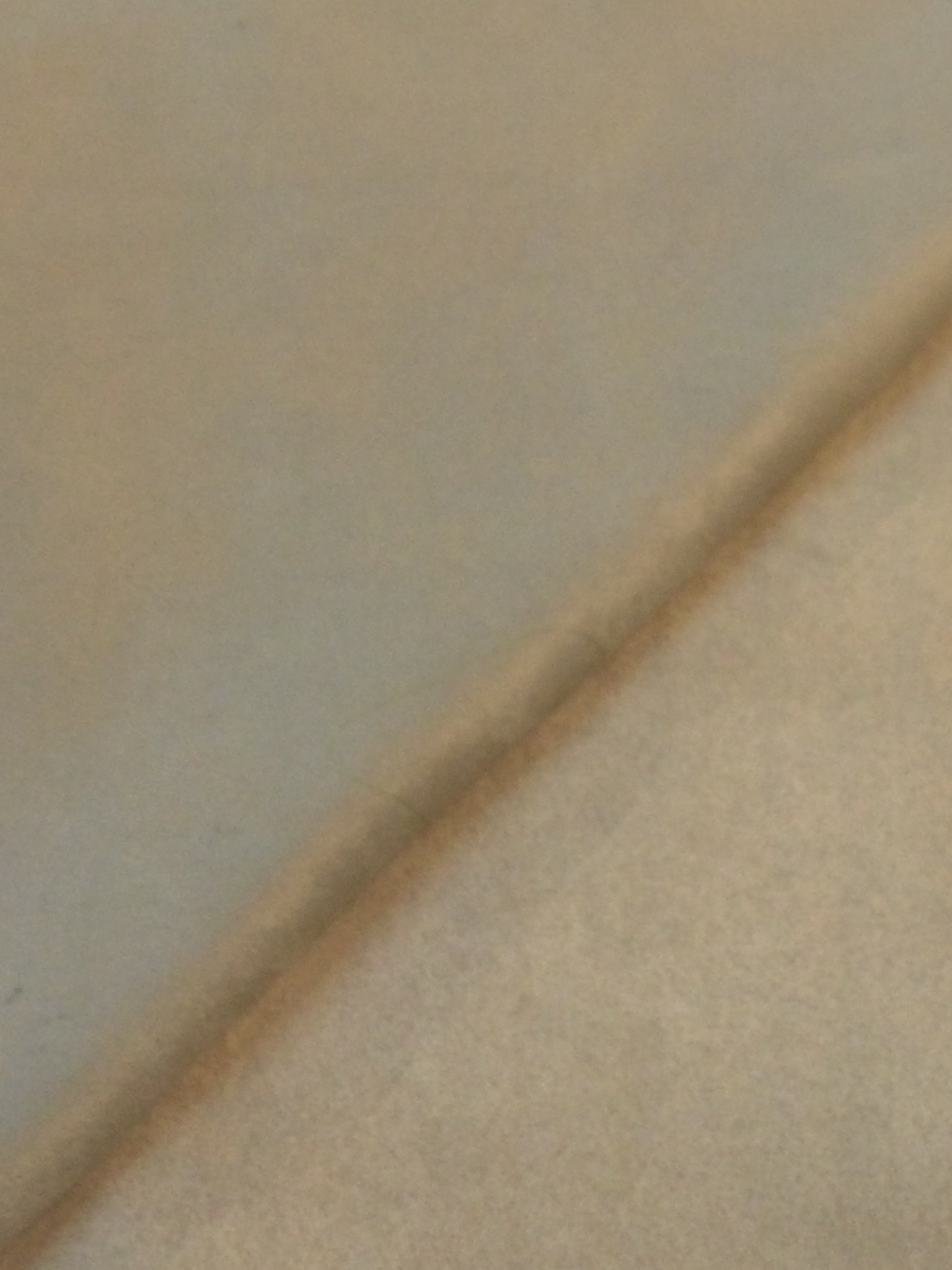 Polyester Microsuede in Chamois