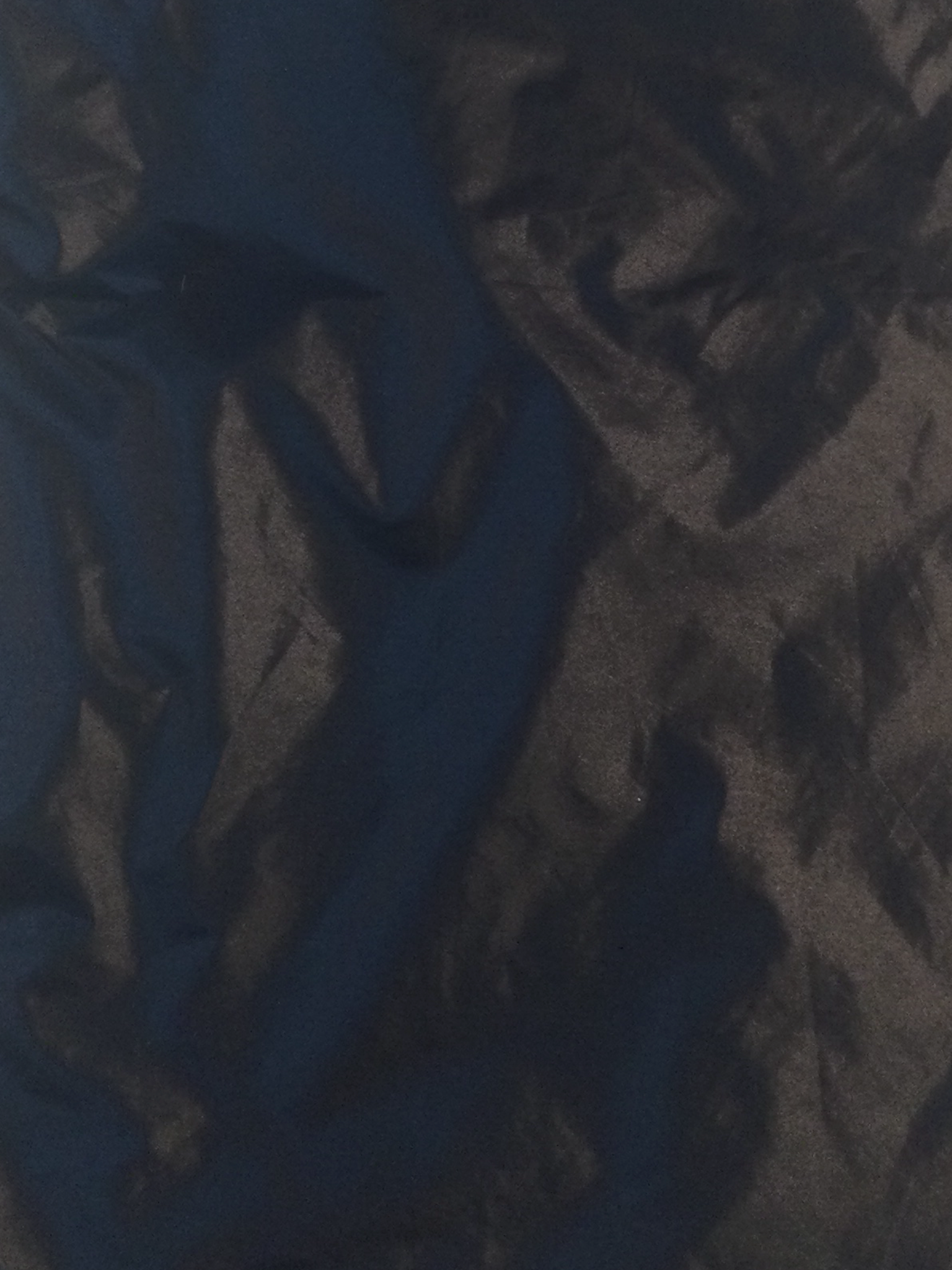 Made in Japan Nylon Cire Rainwear in Navy