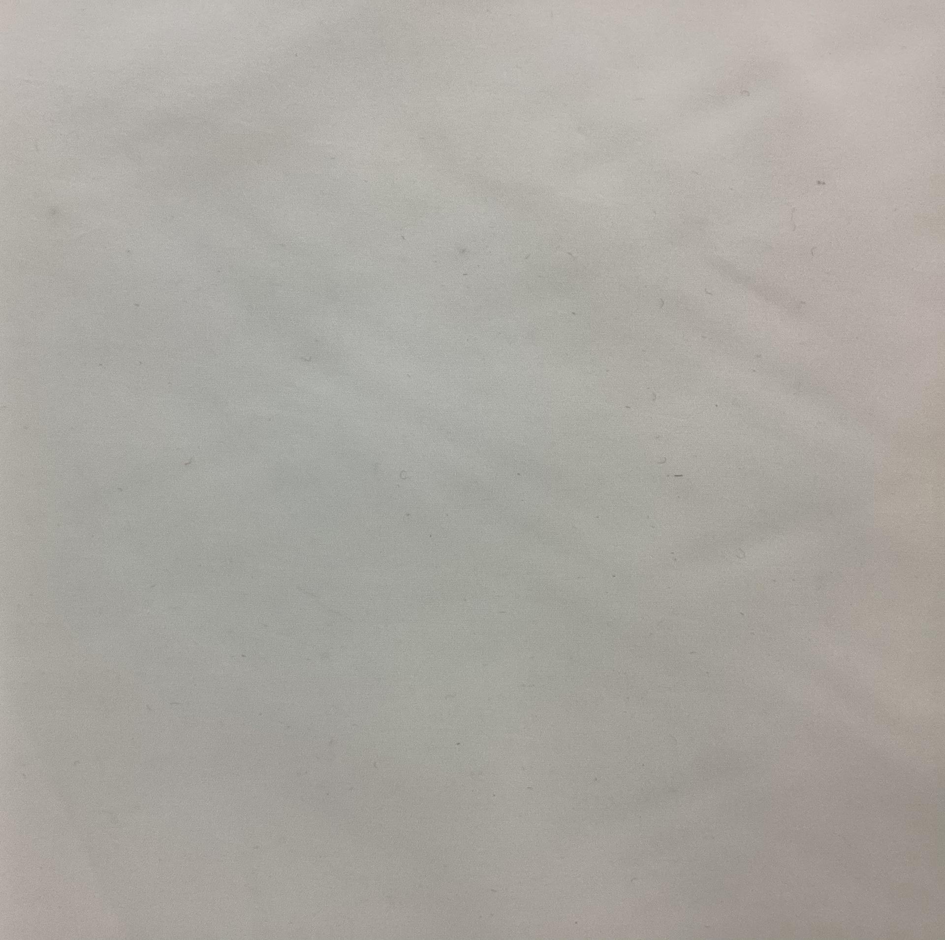 100% Silk China Rainwear In Cream